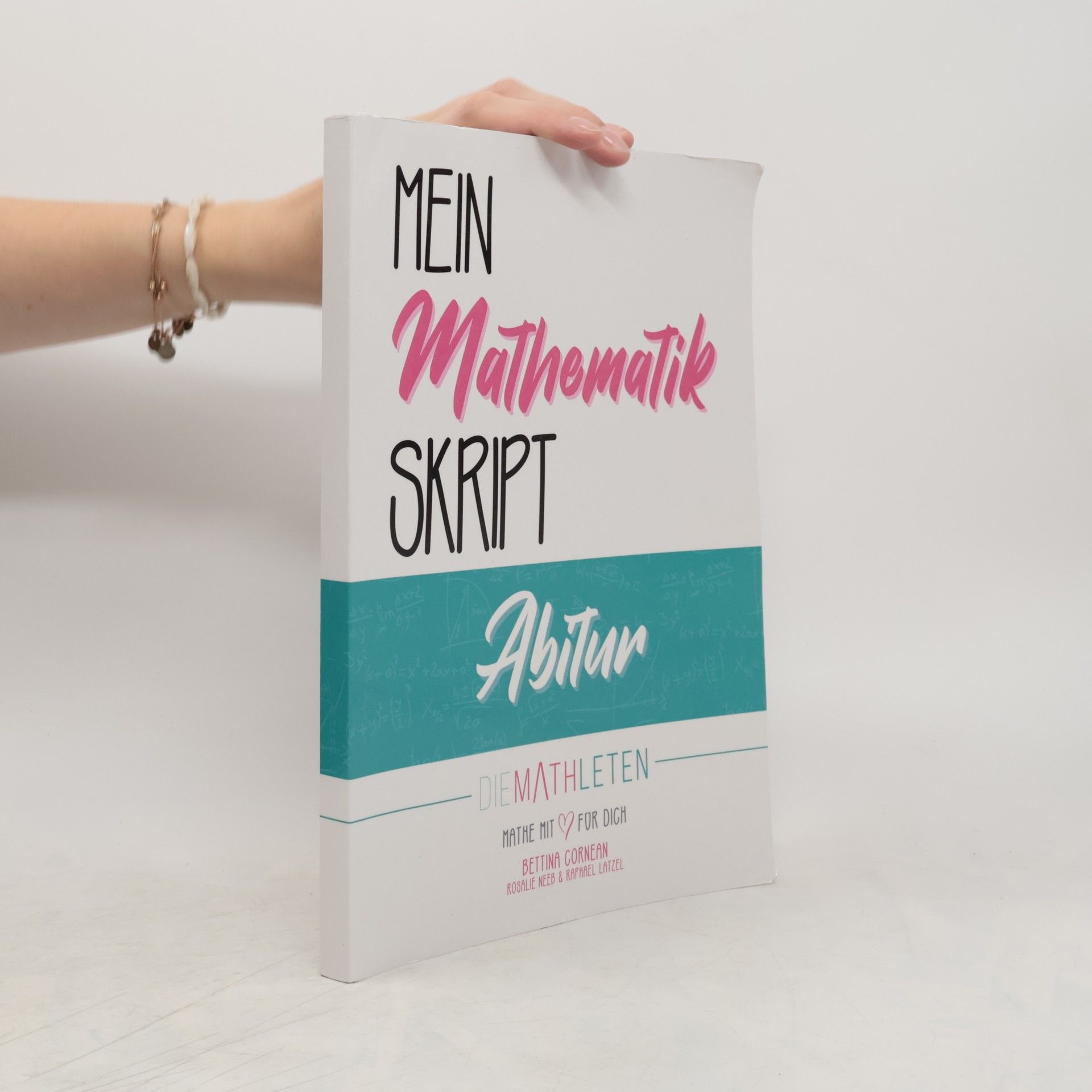 Bettina Cornean Mein Mathematikskript Abitur