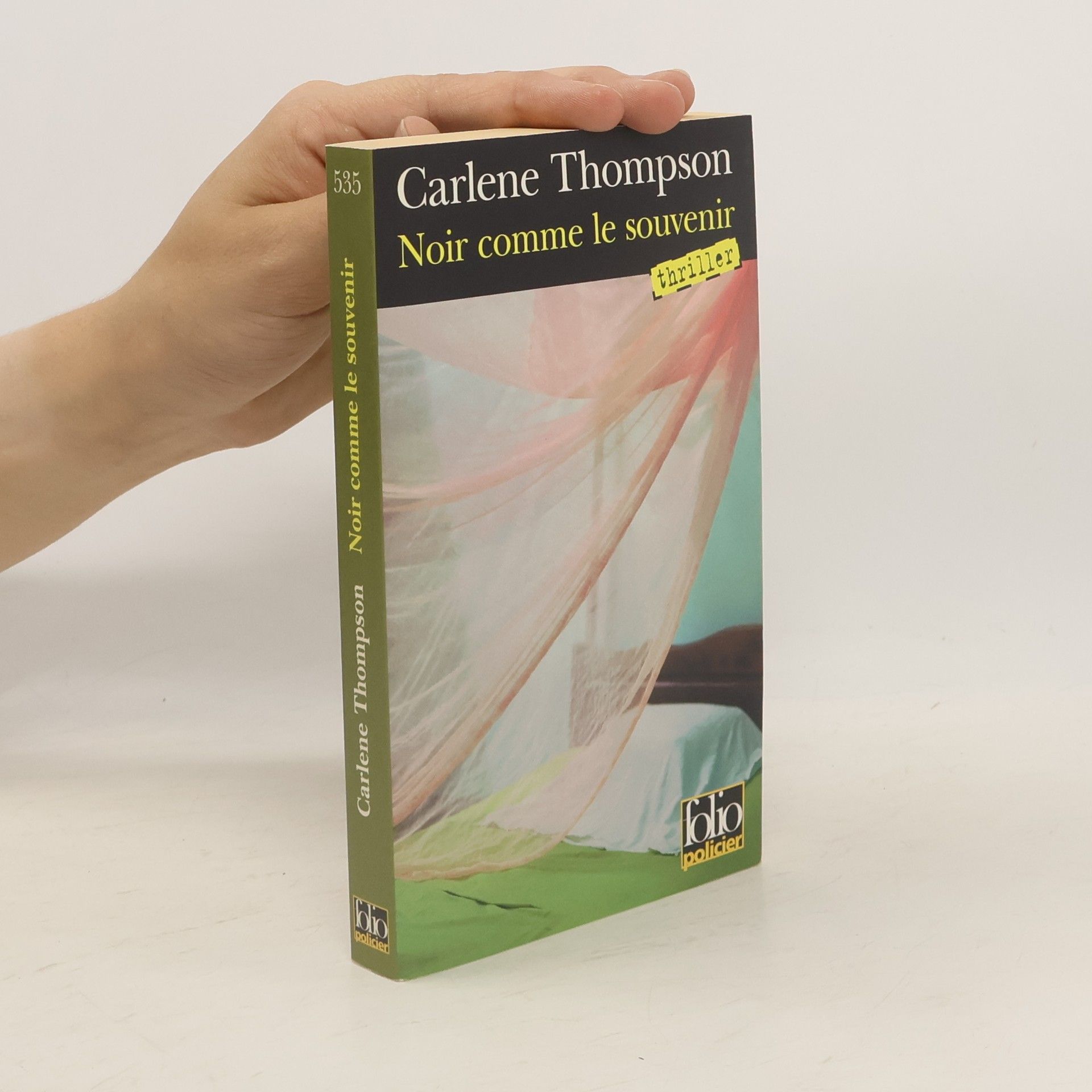Carlene Thompson Noir comme le souvenir