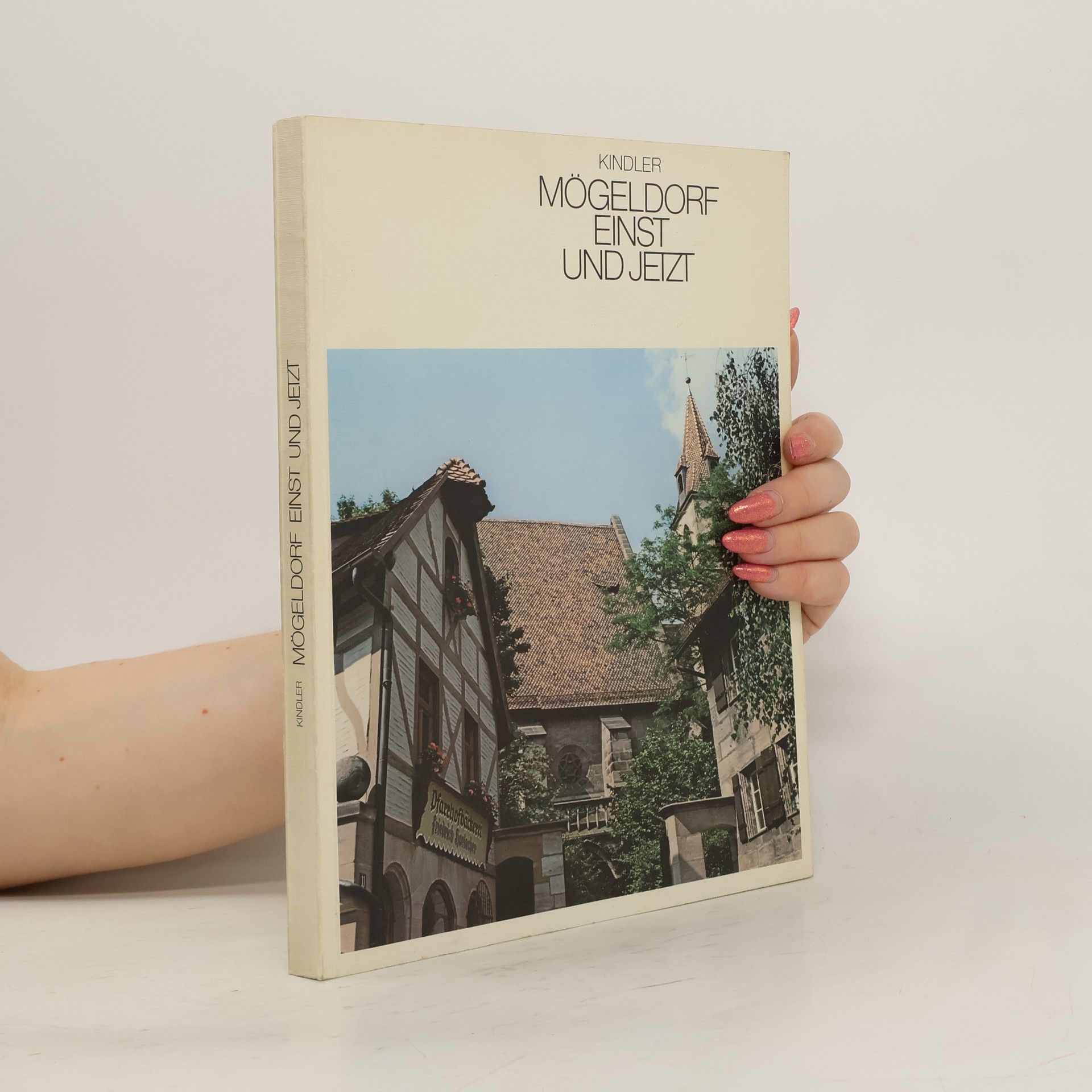 Collectif d'auteurs Mögeldorf einst und jetzt