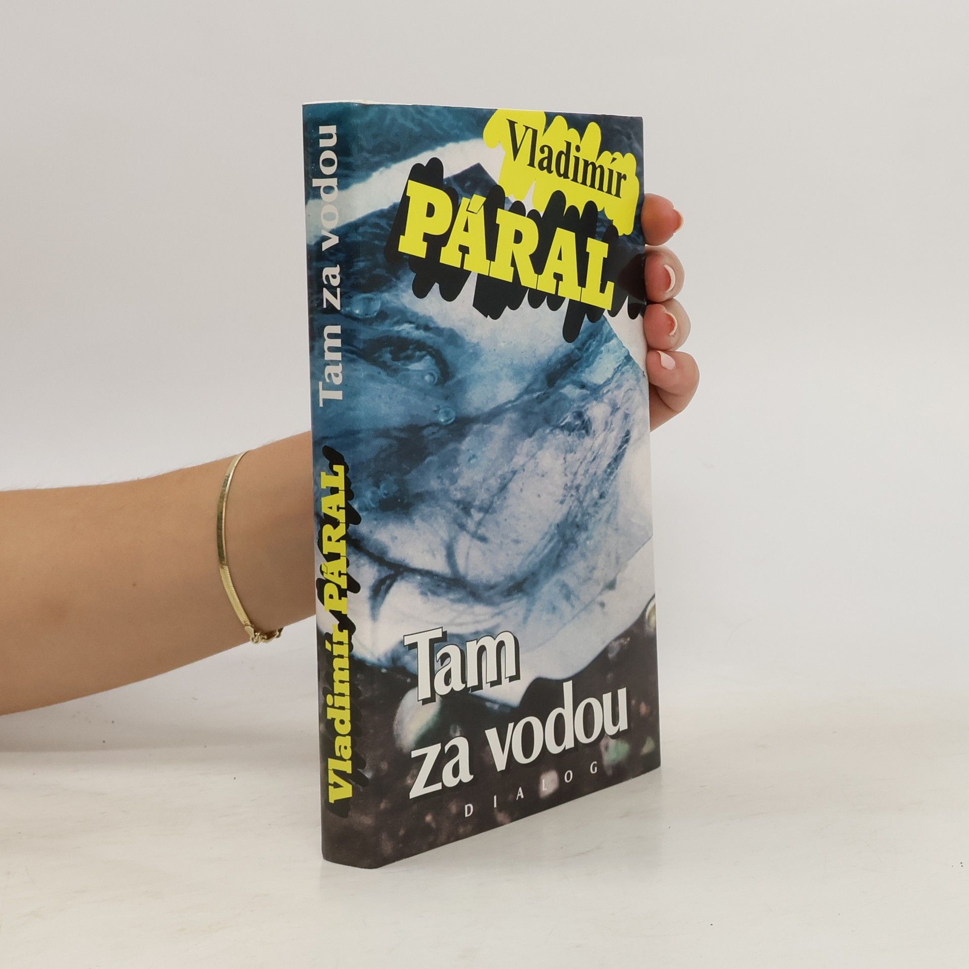 Vladimír Páral Tam za vodou