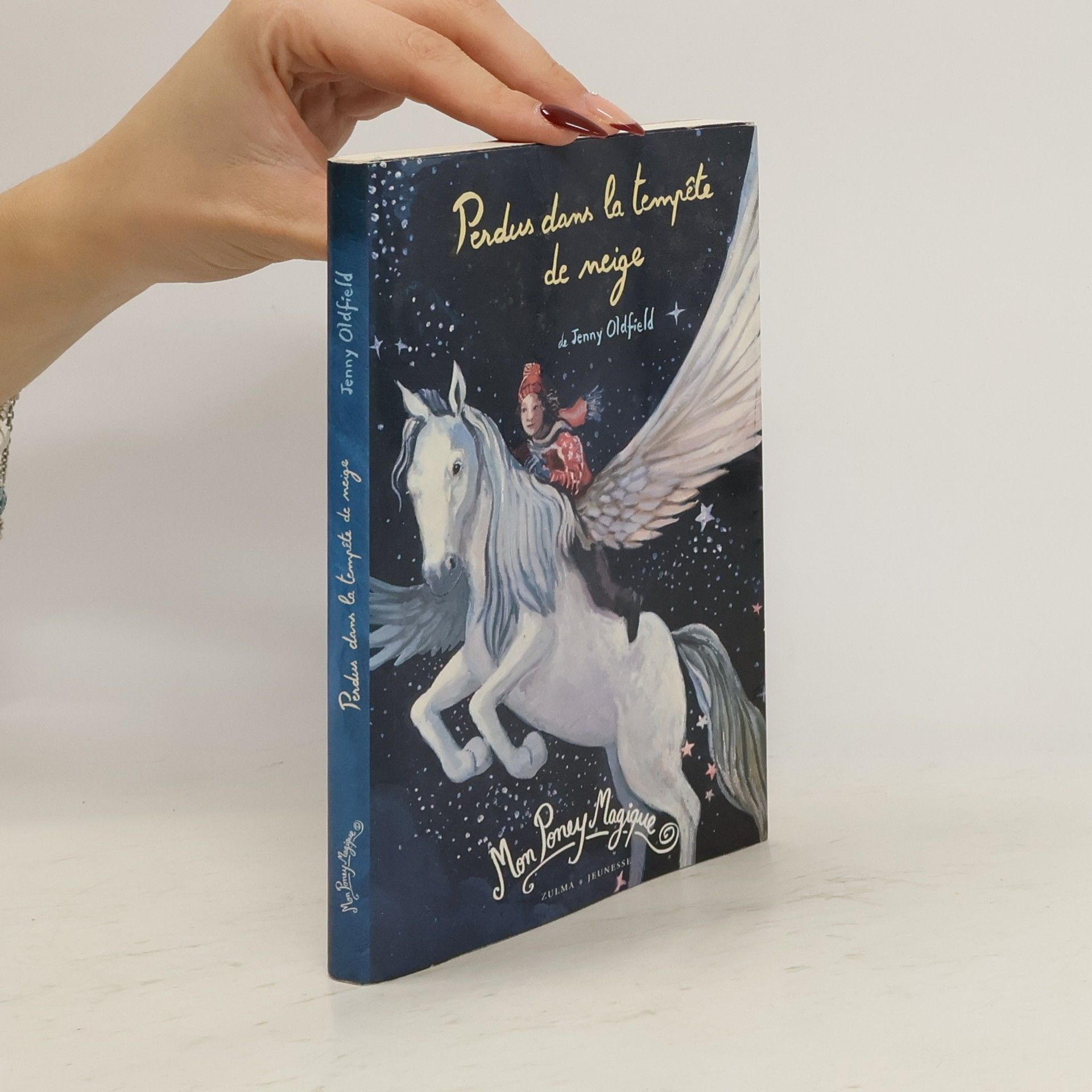 Jenny Oldfield Perdus dans la tempête de neige