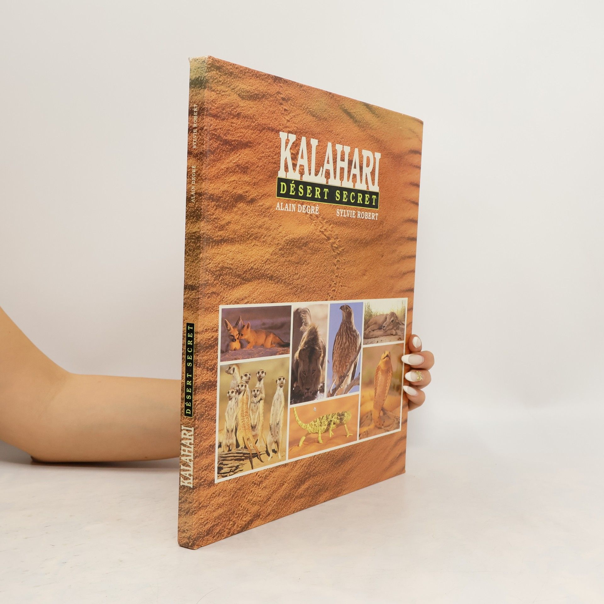 Alain Degre Kalahari, désert secret