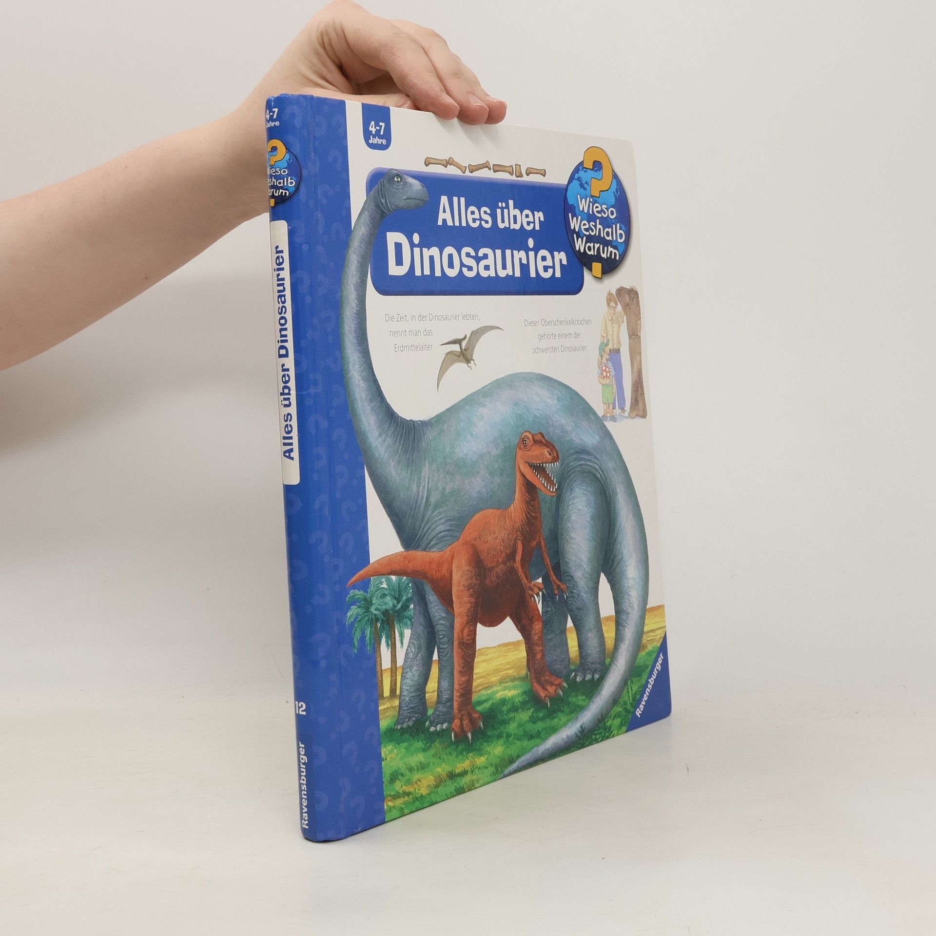Autorenkollektiv Alles über Dinosaurier