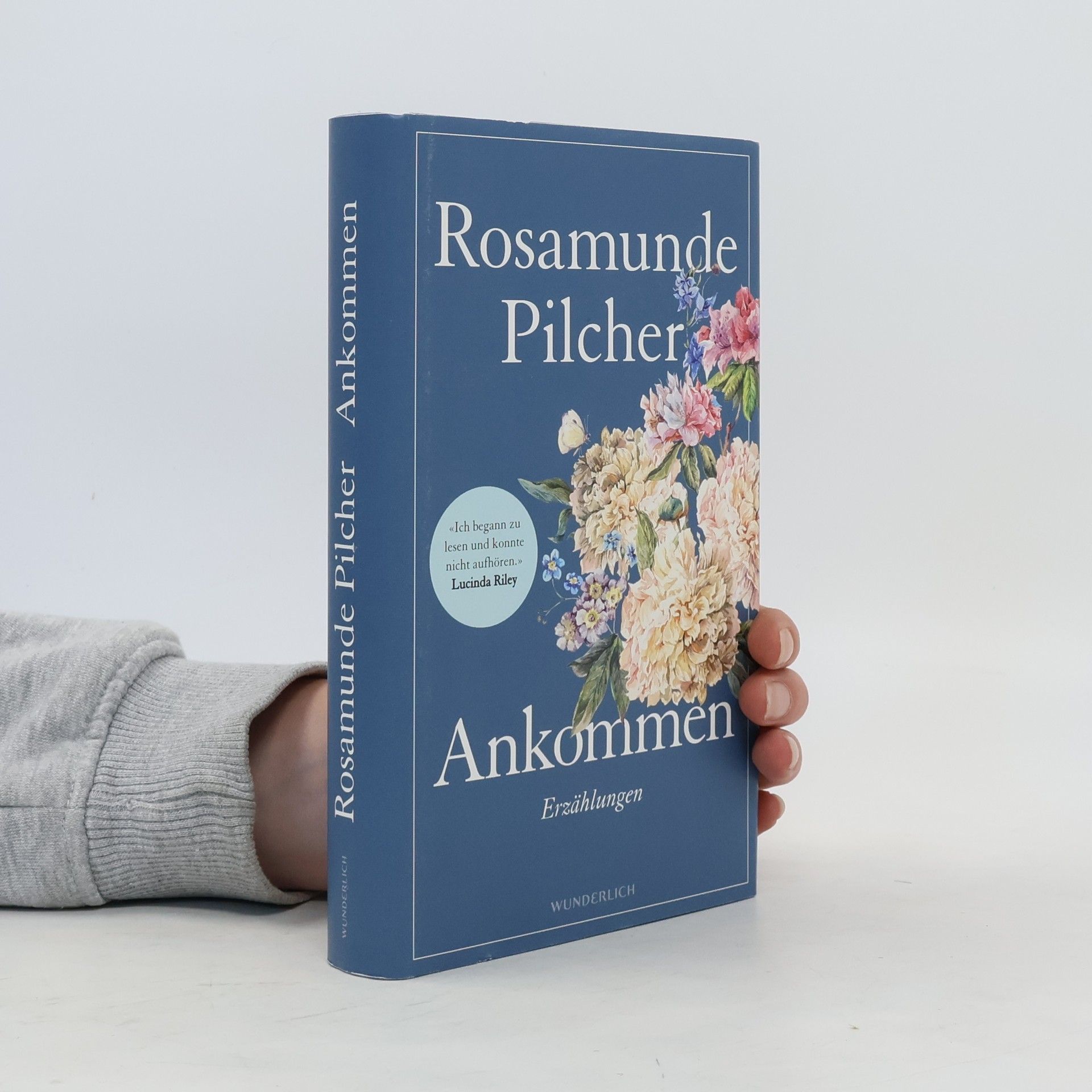 Rosamunde Pilcher Ankommen : Erzählungen