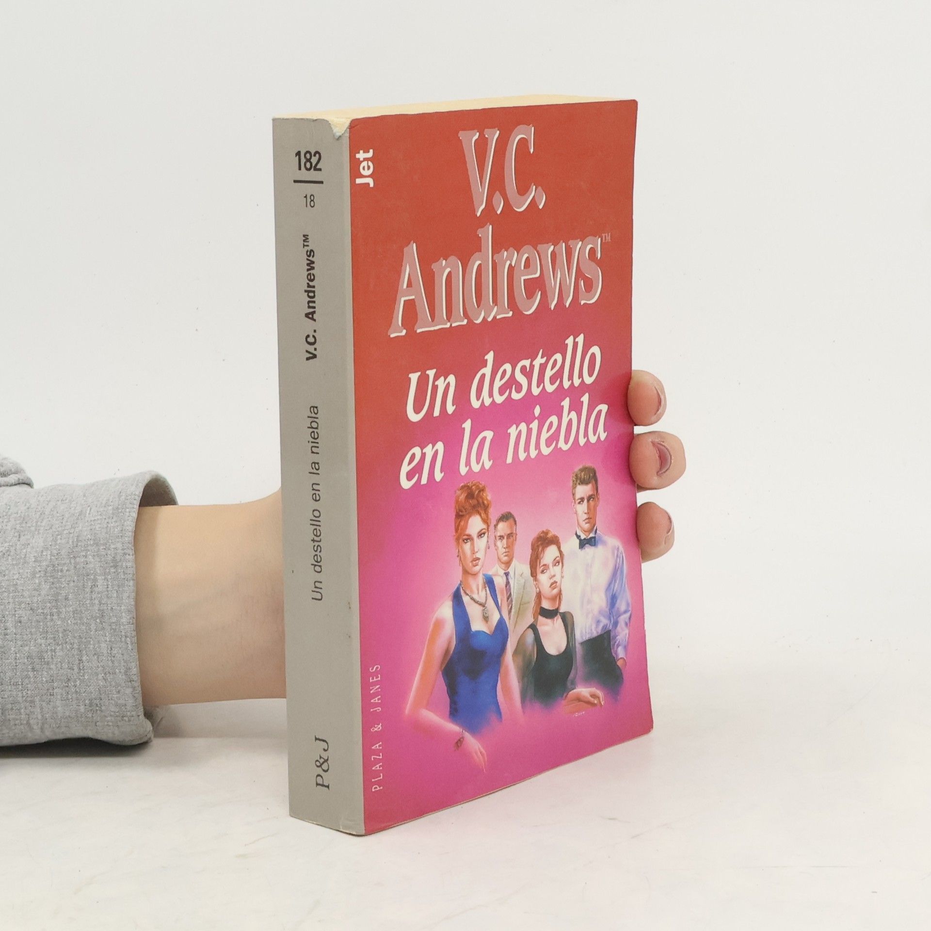 Virginia Cleo Andrews Un destello en la niebla