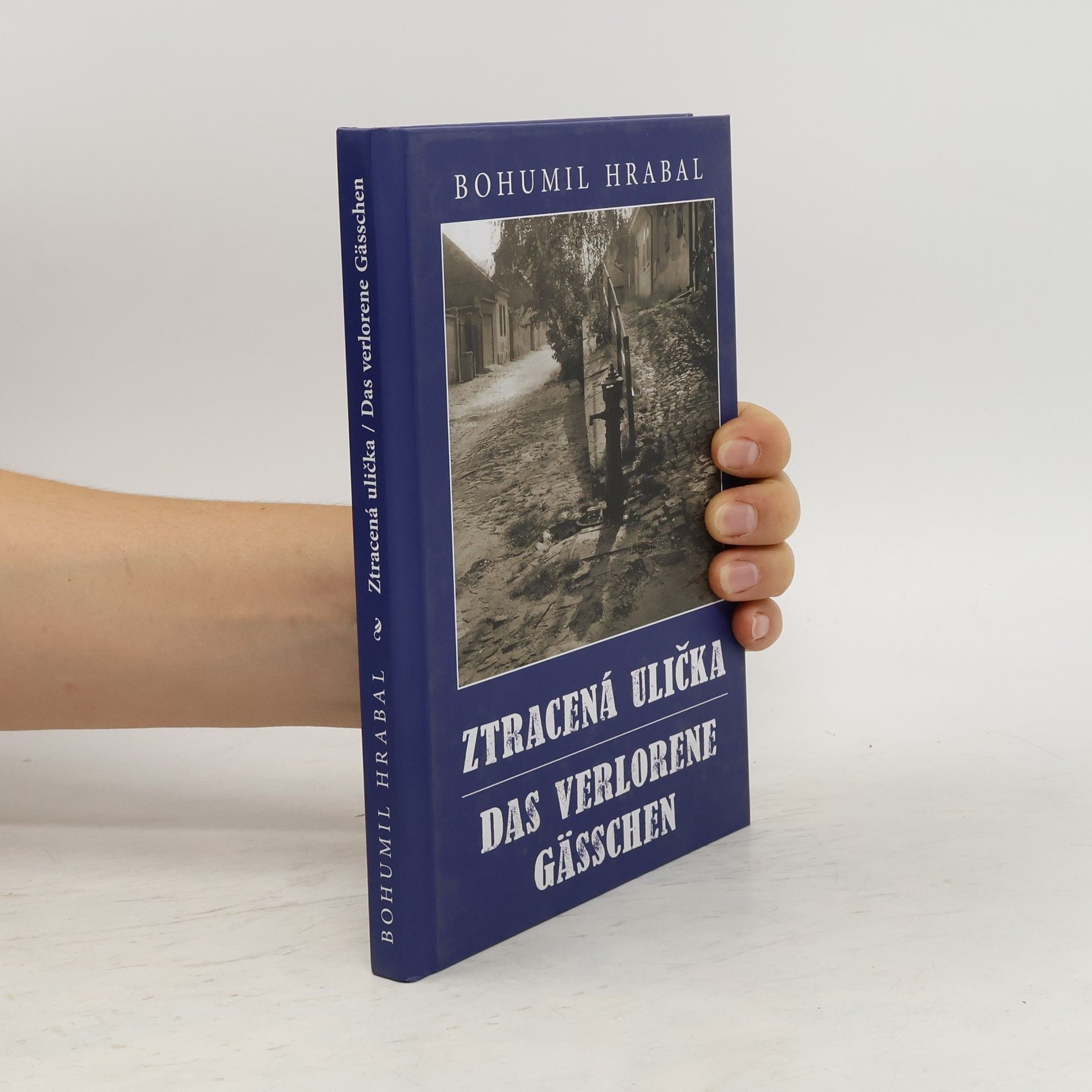 Maria Hammerich-Maier Ztracená ulička, Das verlorene Gässchen