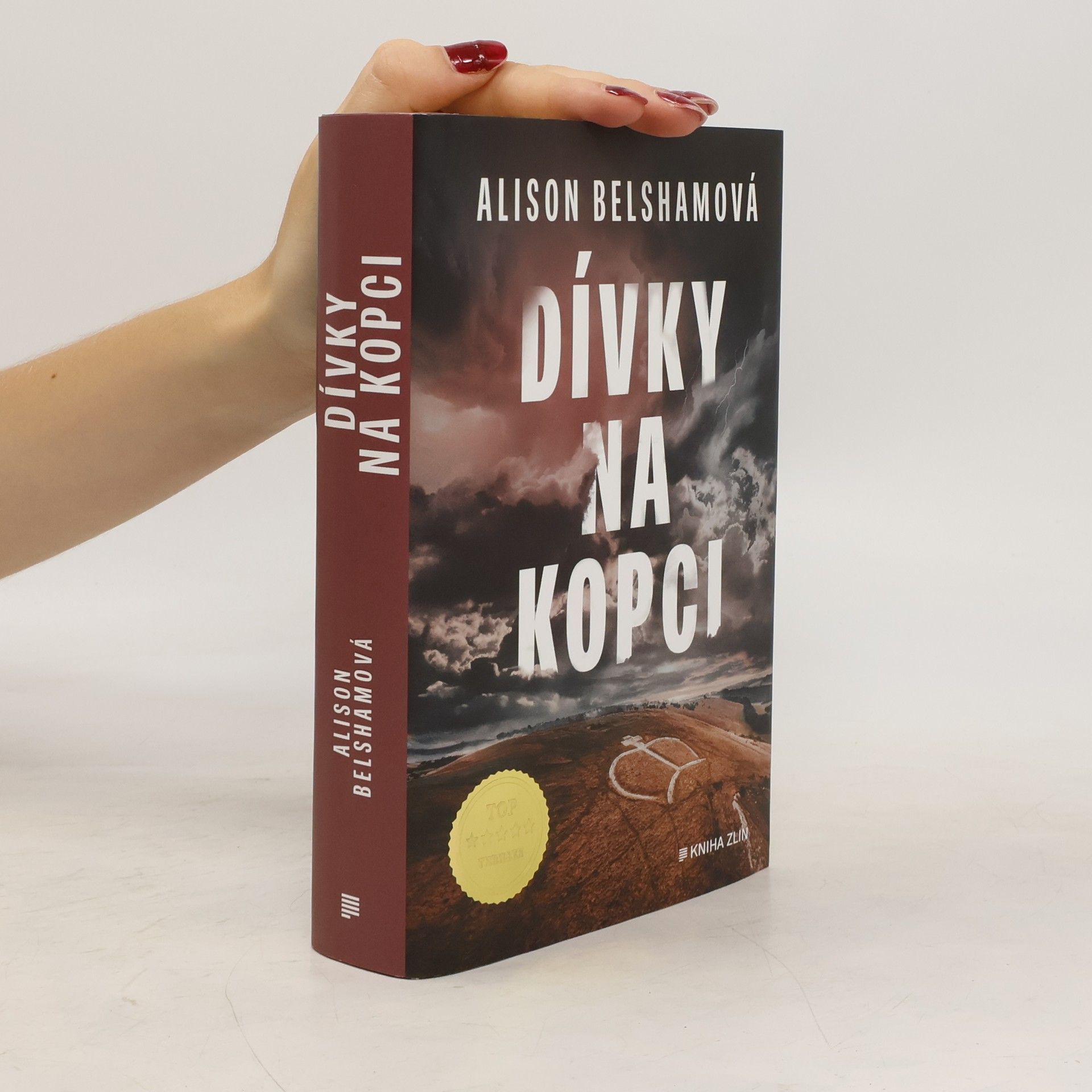 Alison Belsham Dívky na kopci