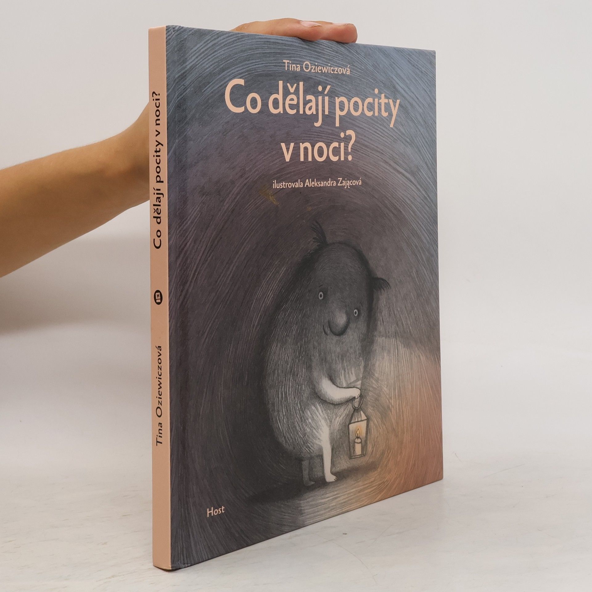 Anna Halfarová Co dělají pocity v noci?