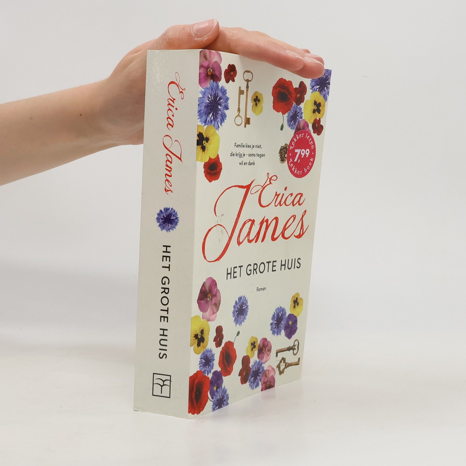 Erica James Het grote huis