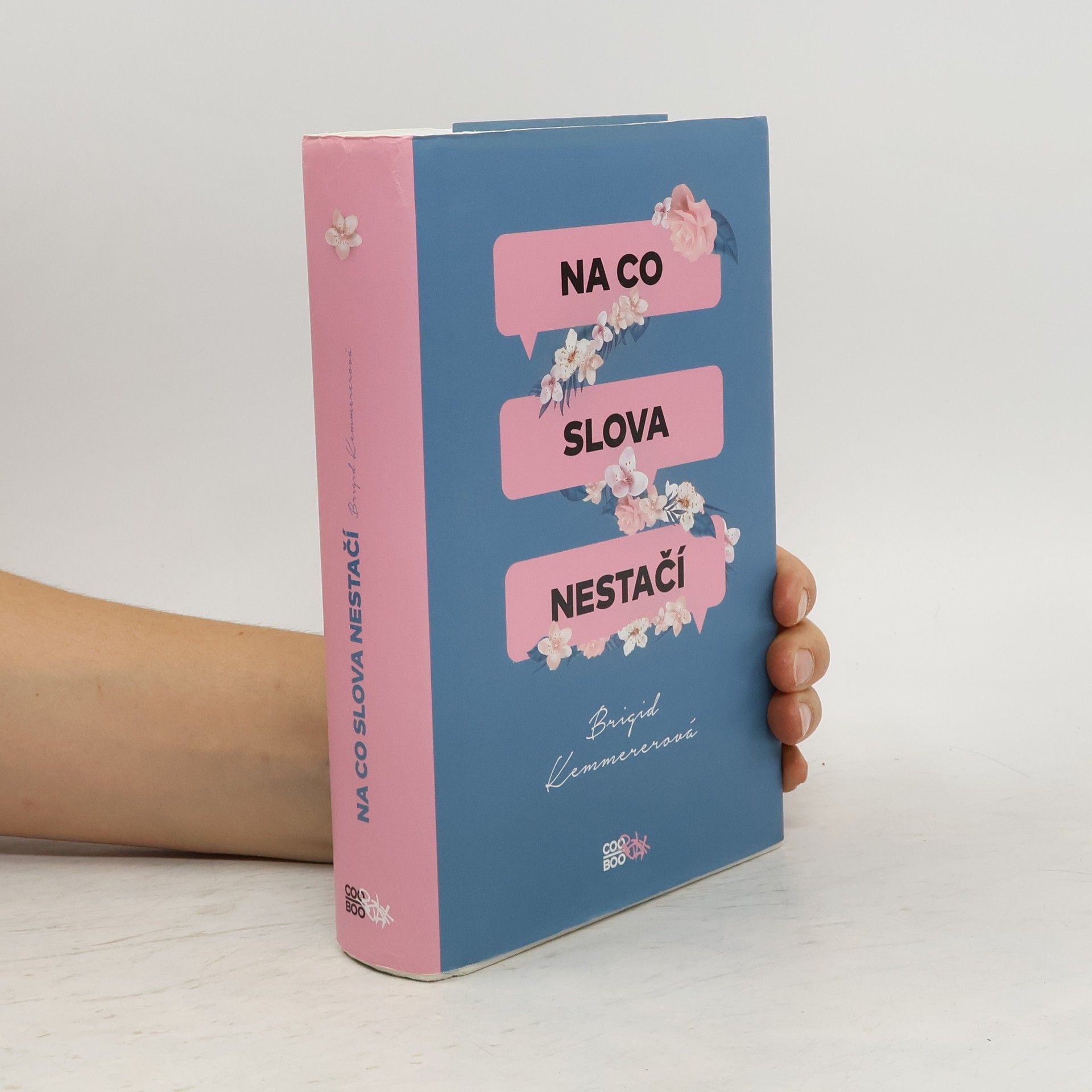 Brigid Kemmerer Na co slova nestačí