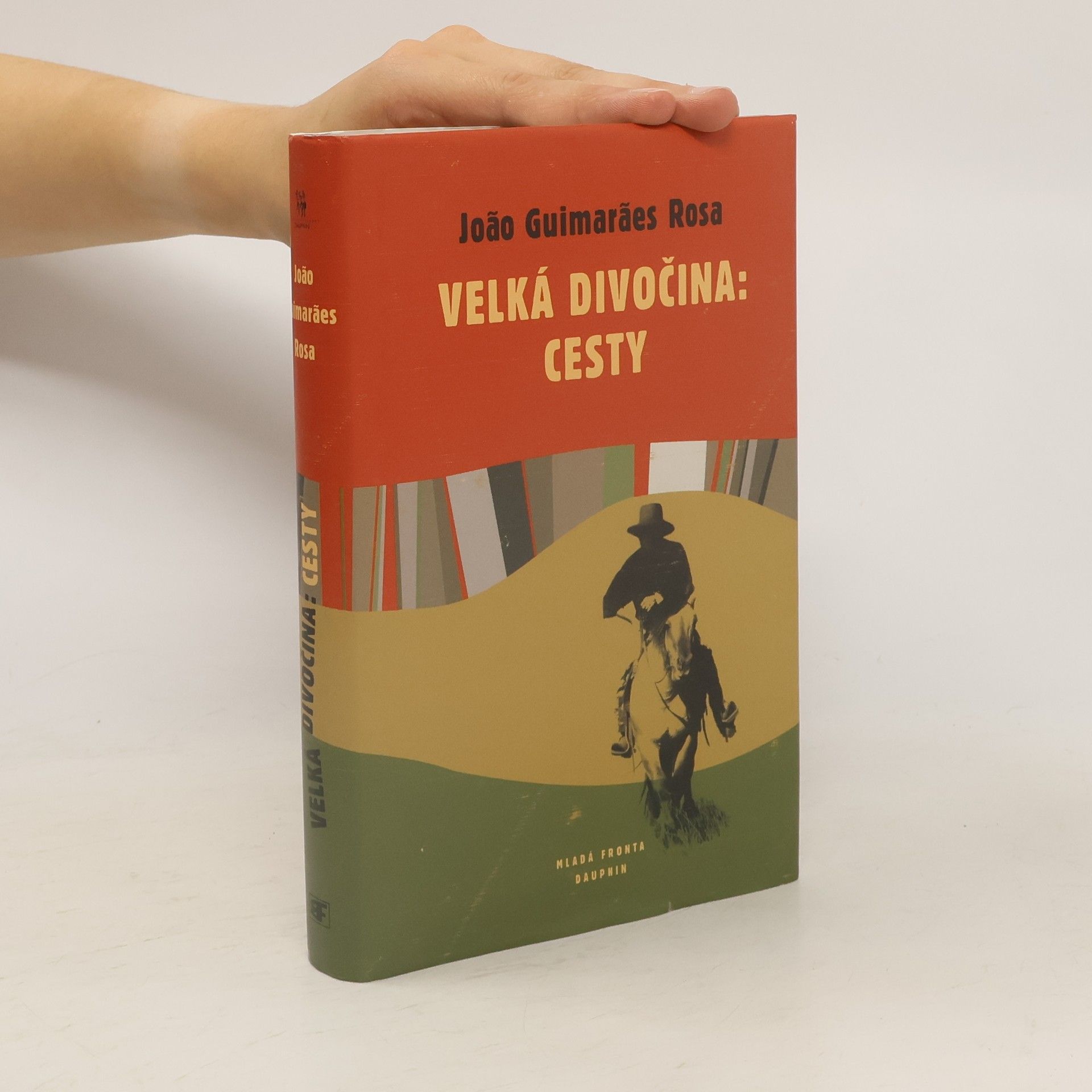 Guimarães Rosa Velká divočina: Cesty