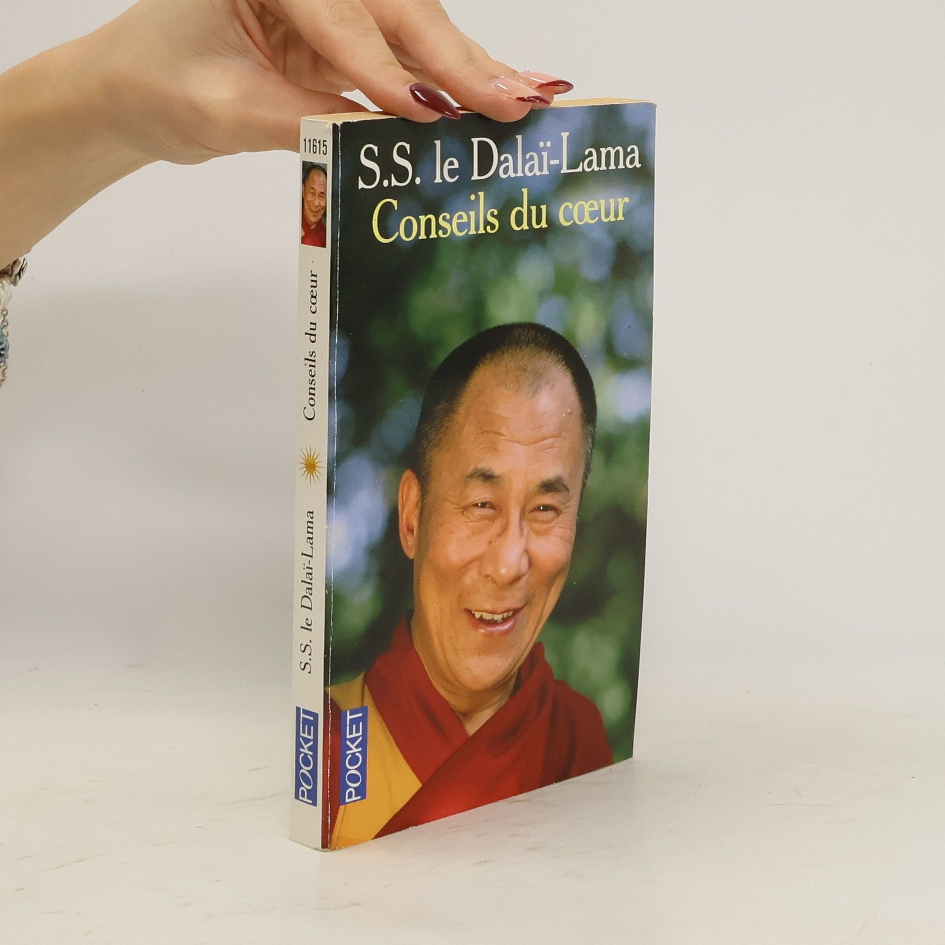 Jeho svatost Dalajlama Conseils du coeur