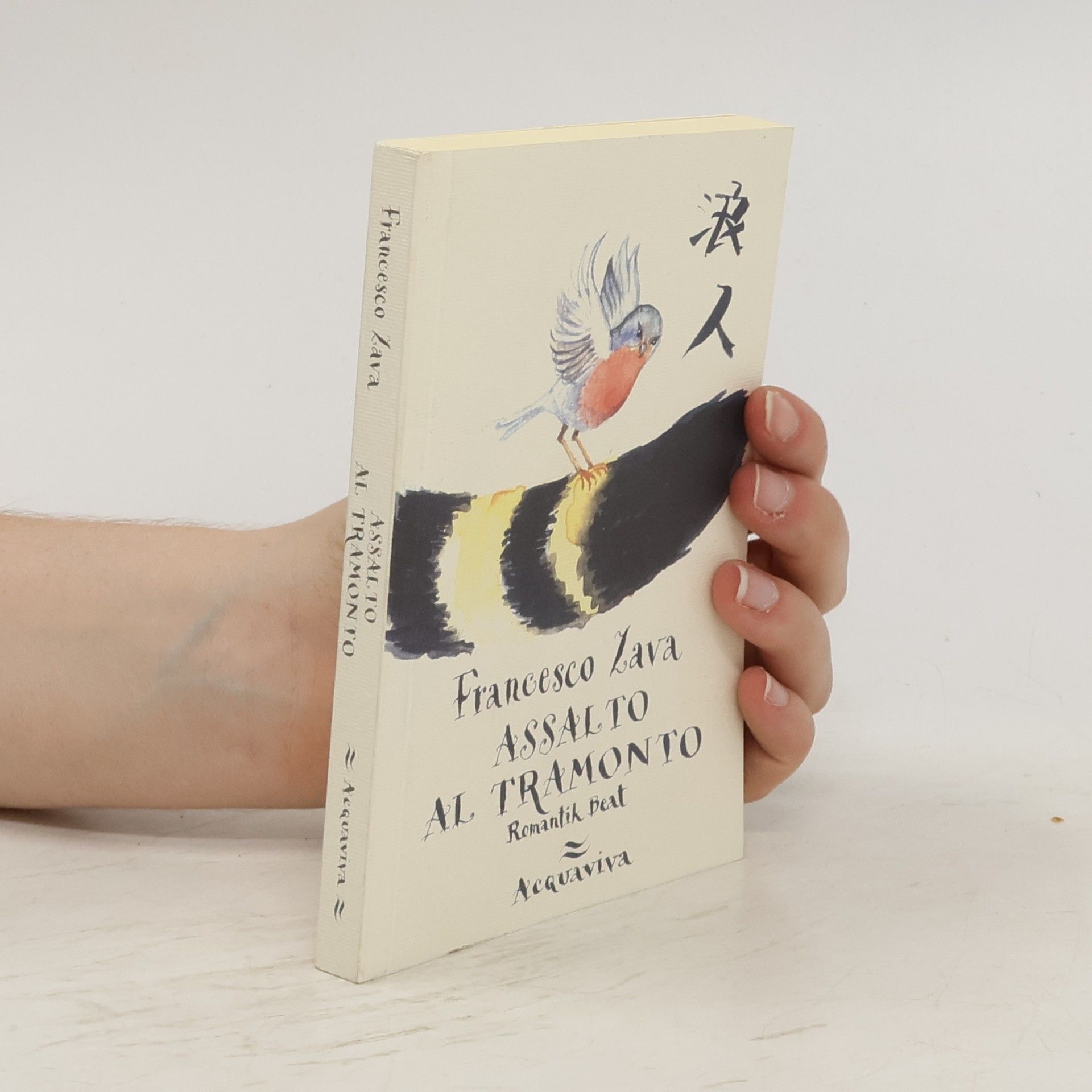 Francesco Zava Assalto al tramonto