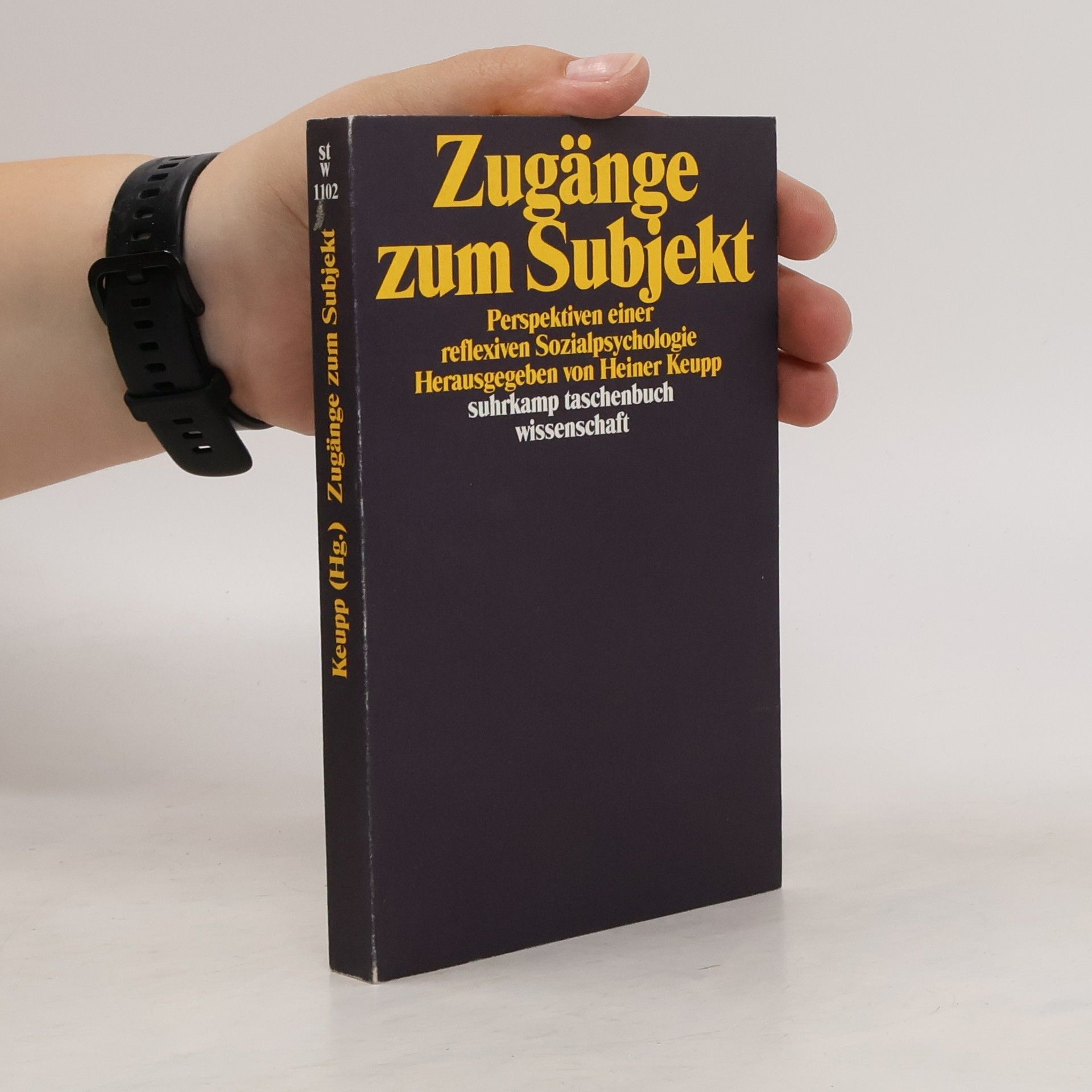 Heiner Keupp Zugänge zum Subjekt
