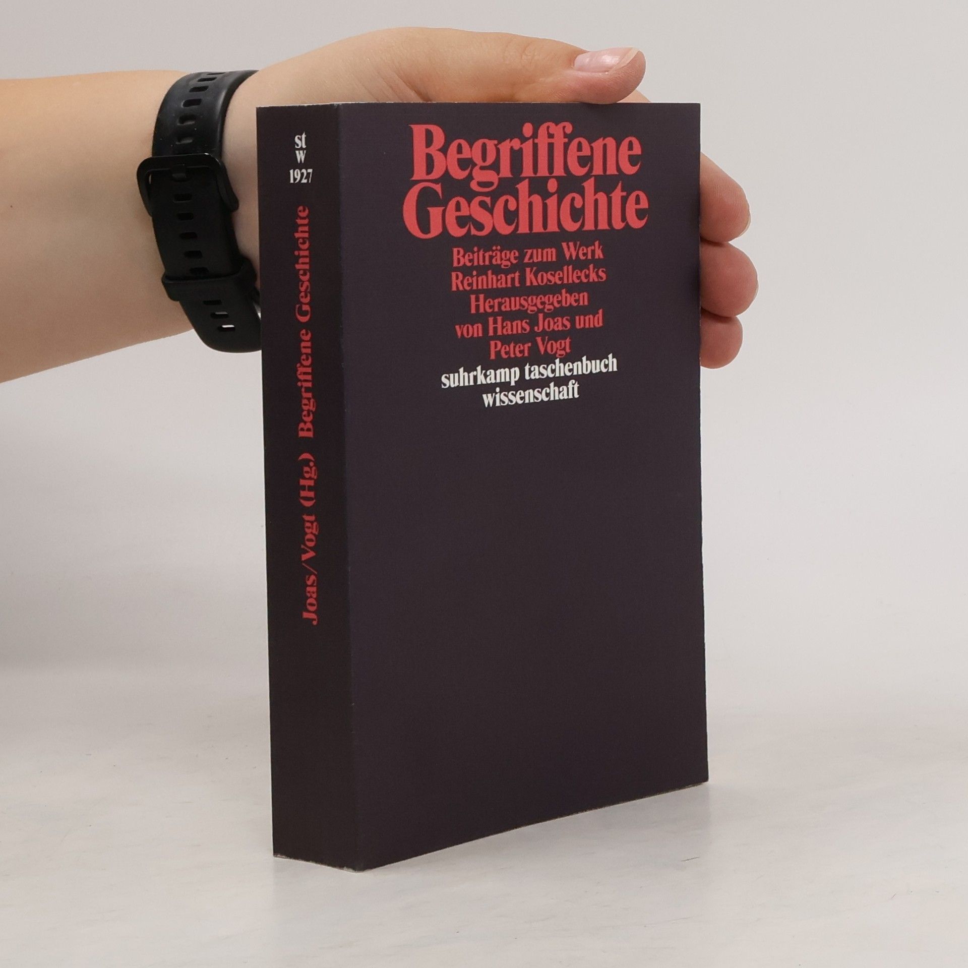 Hans Joas Begriffene Geschichte