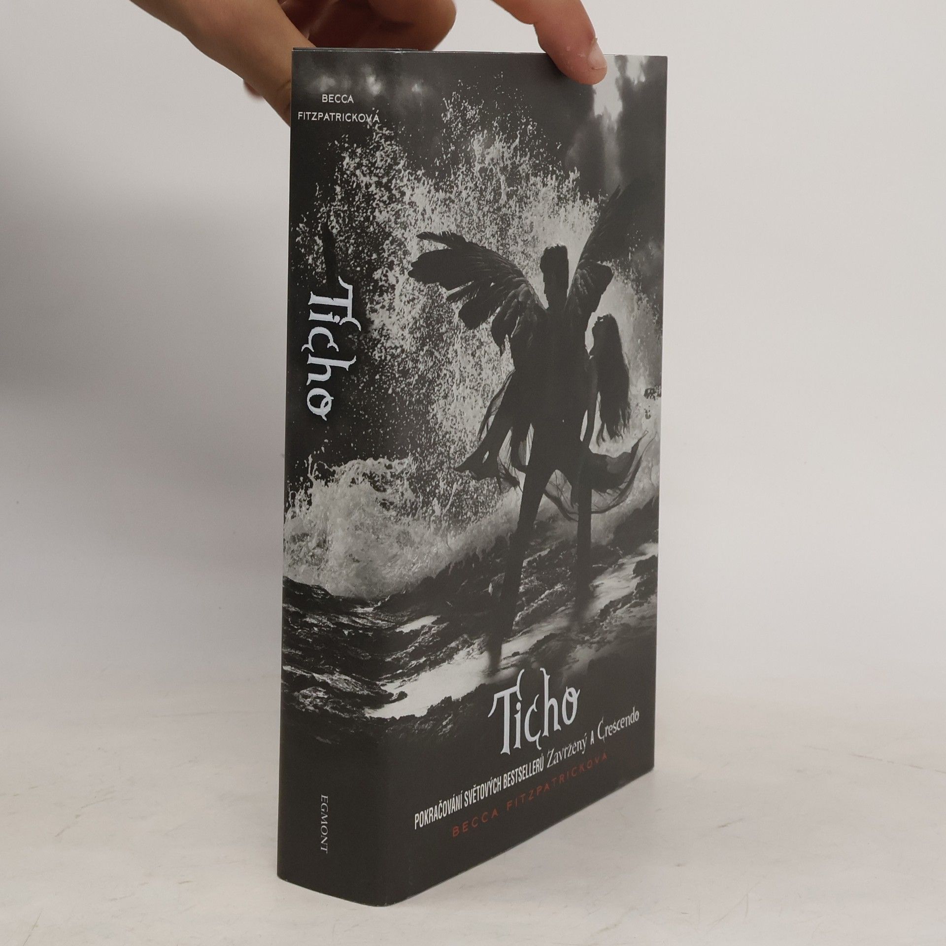 Becca Fitzpatrick Ticho