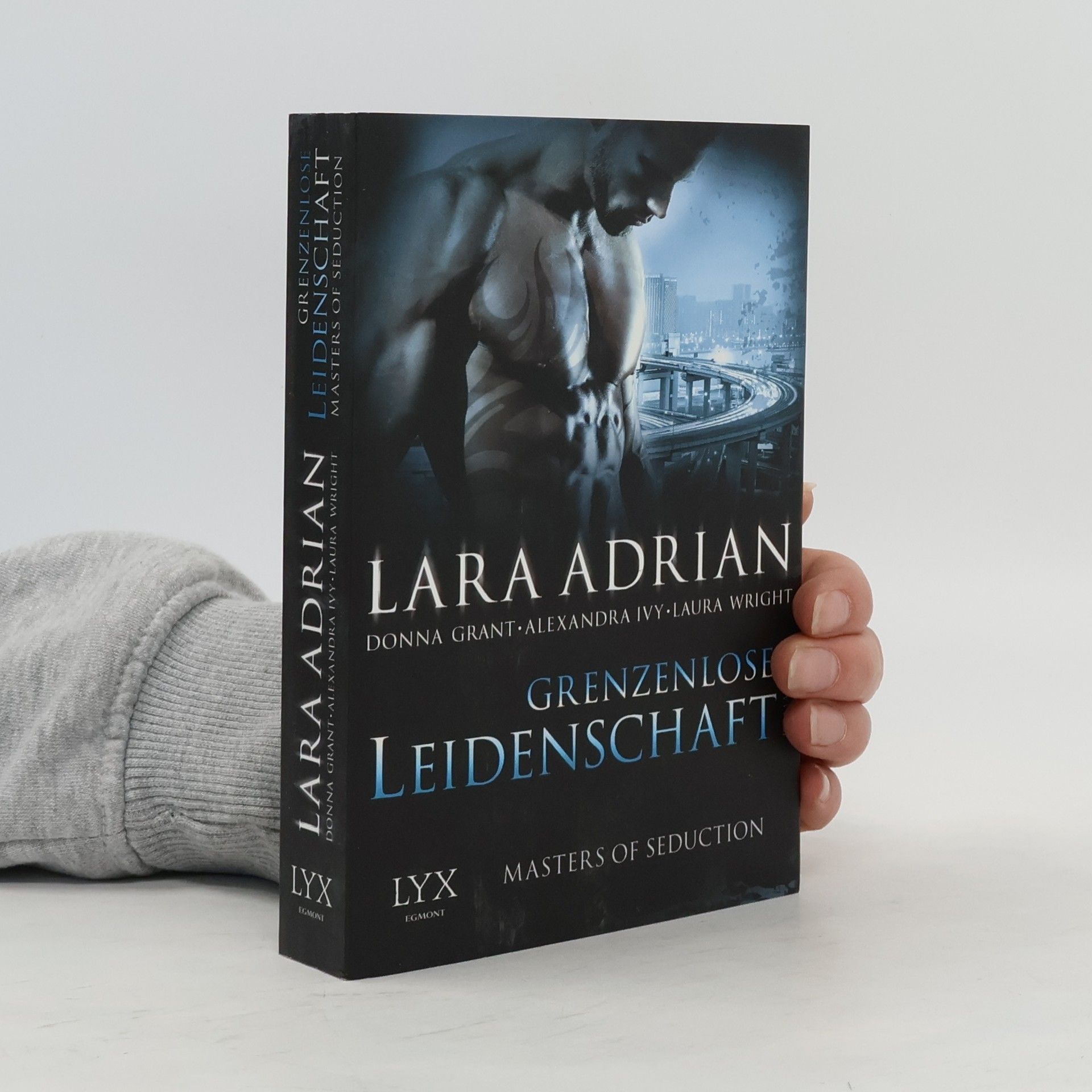 Alexandra Ivy Grenzenlose Leidenschaft