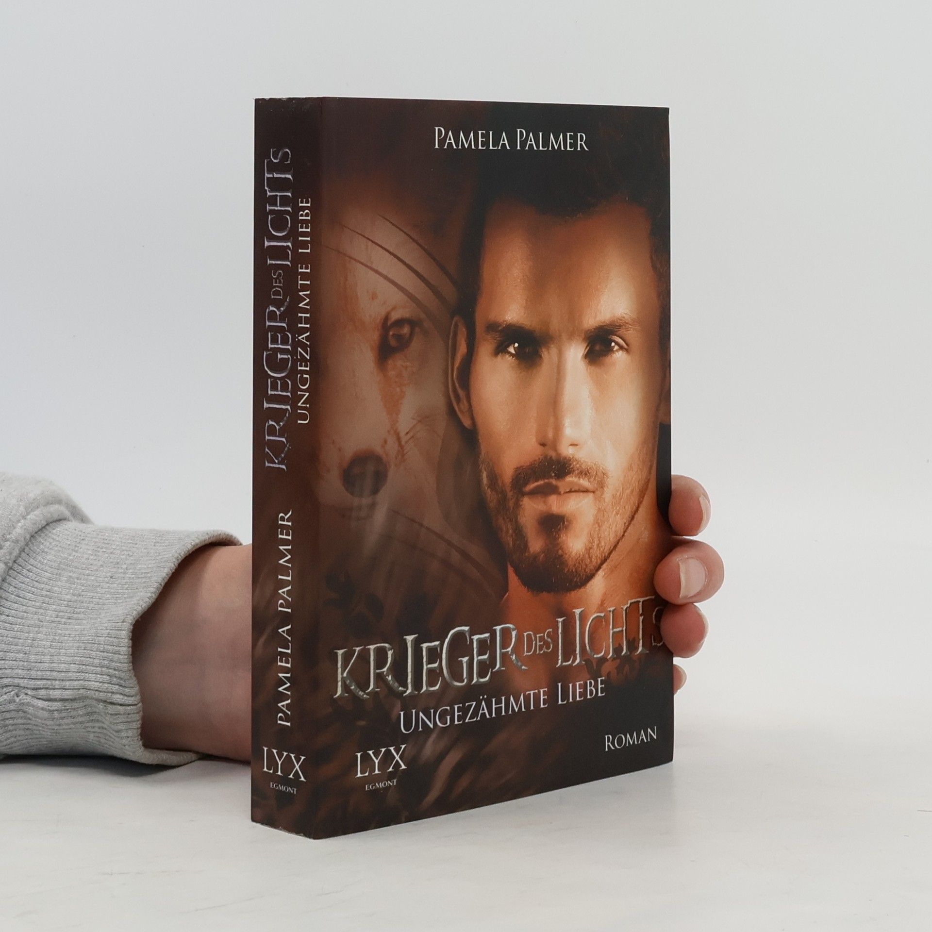 Pamela Palmer Krieger des Lichts 7