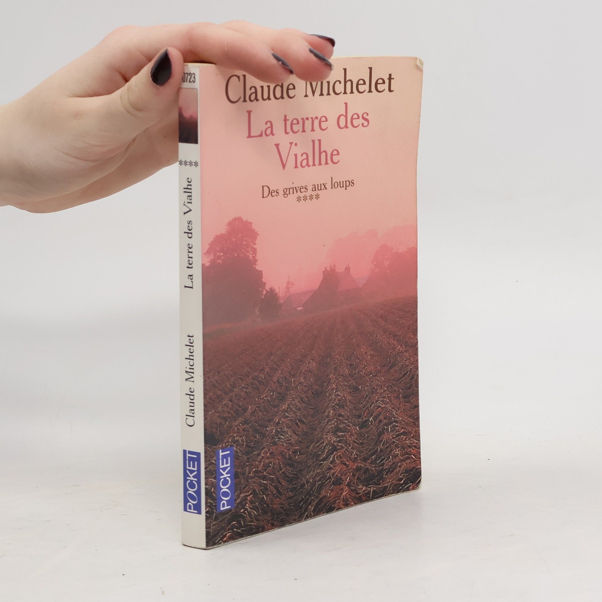 Claude Michelet  La terre des Vialhe