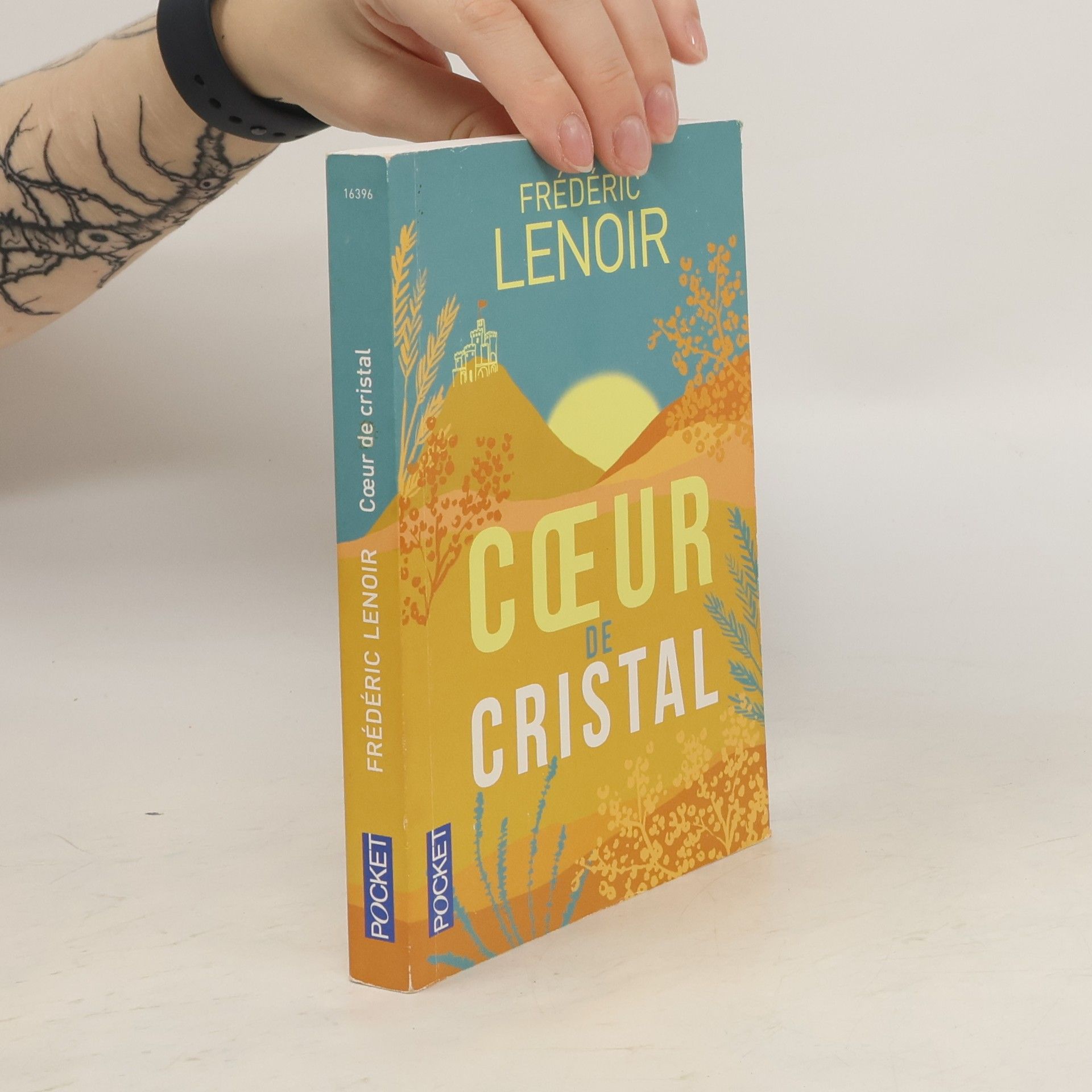 Frédéric Lenoir Coeur de cristal