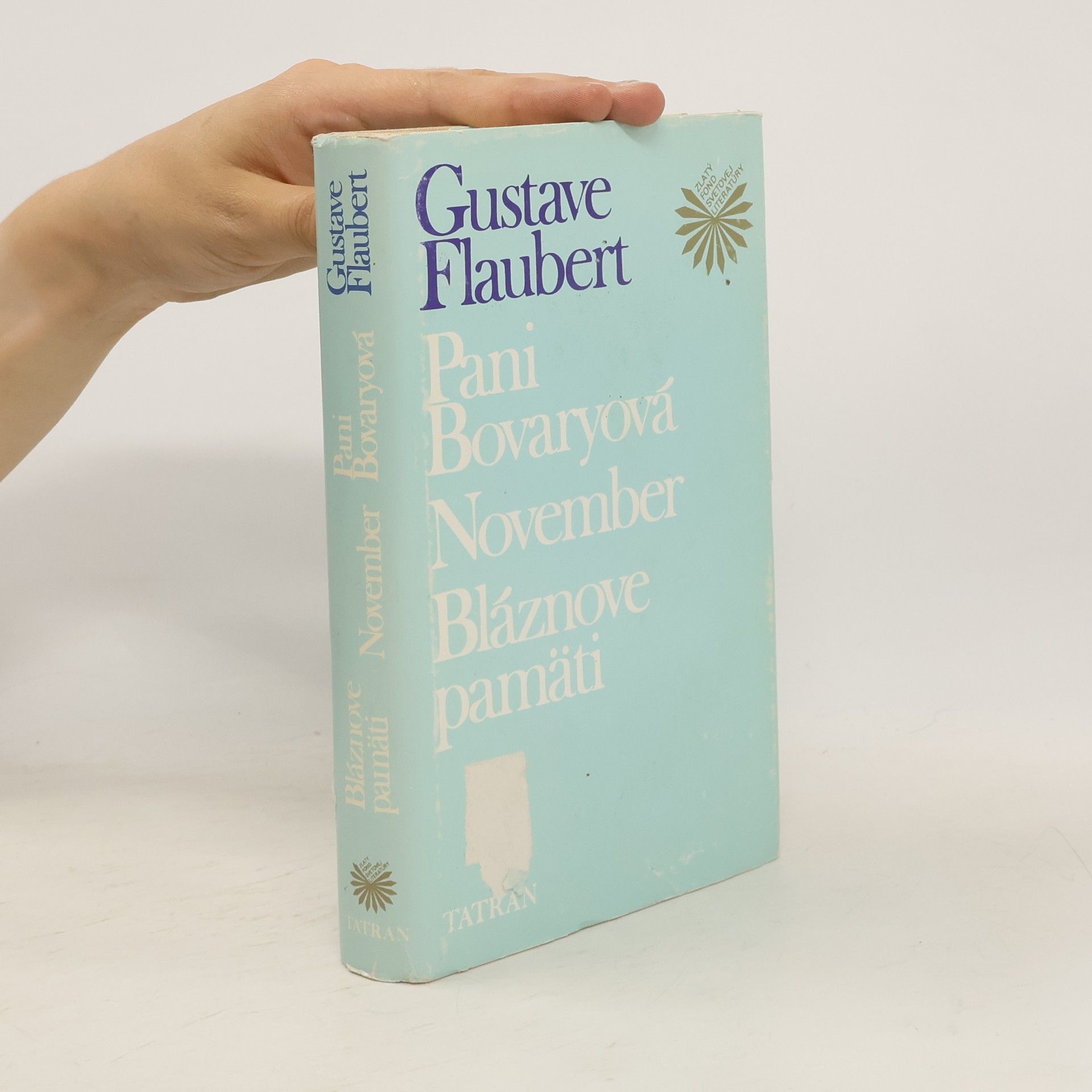 Gustave Flaubert Pani Bovaryová - November - Bláznové pamati