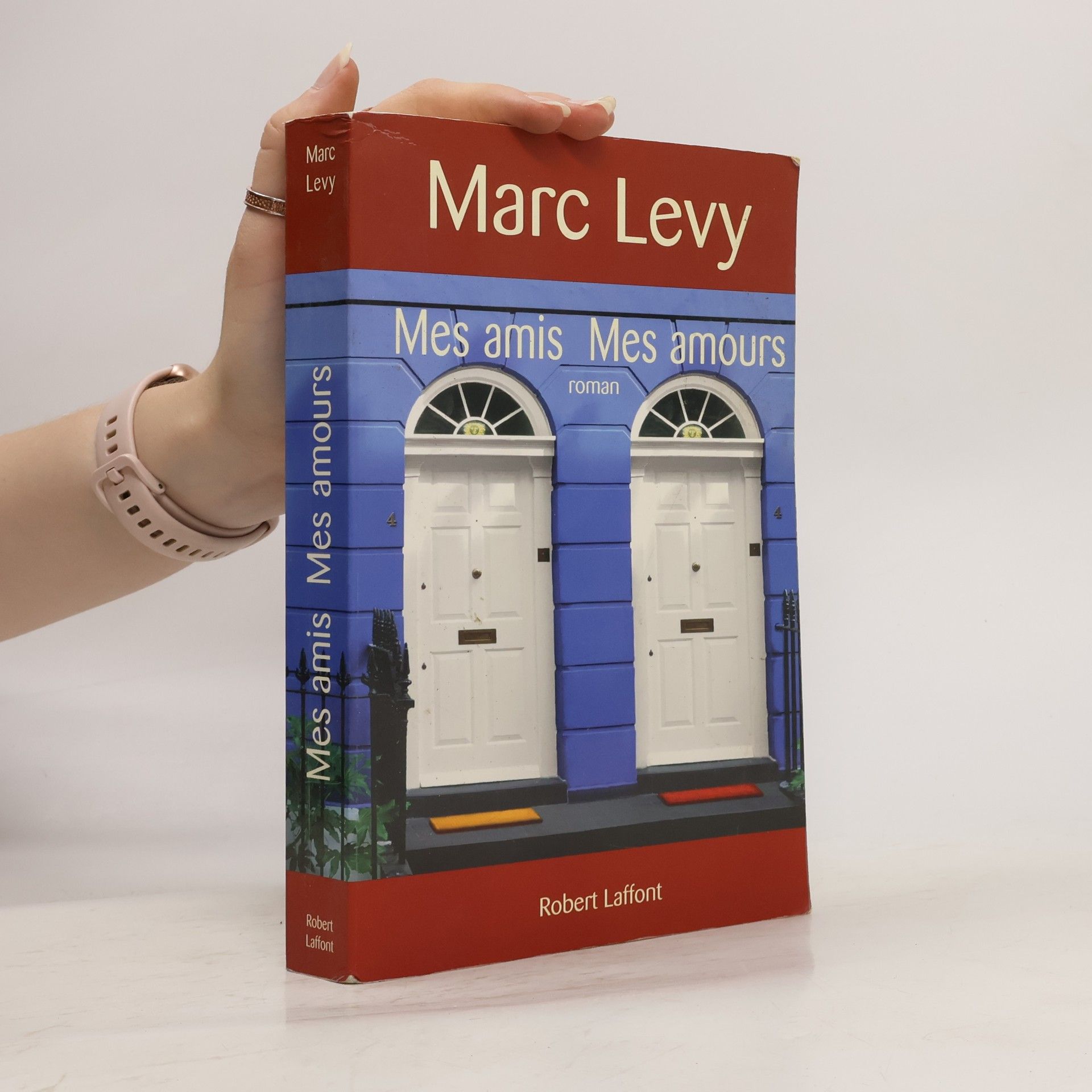Marc Lévy Mes amis mes amours