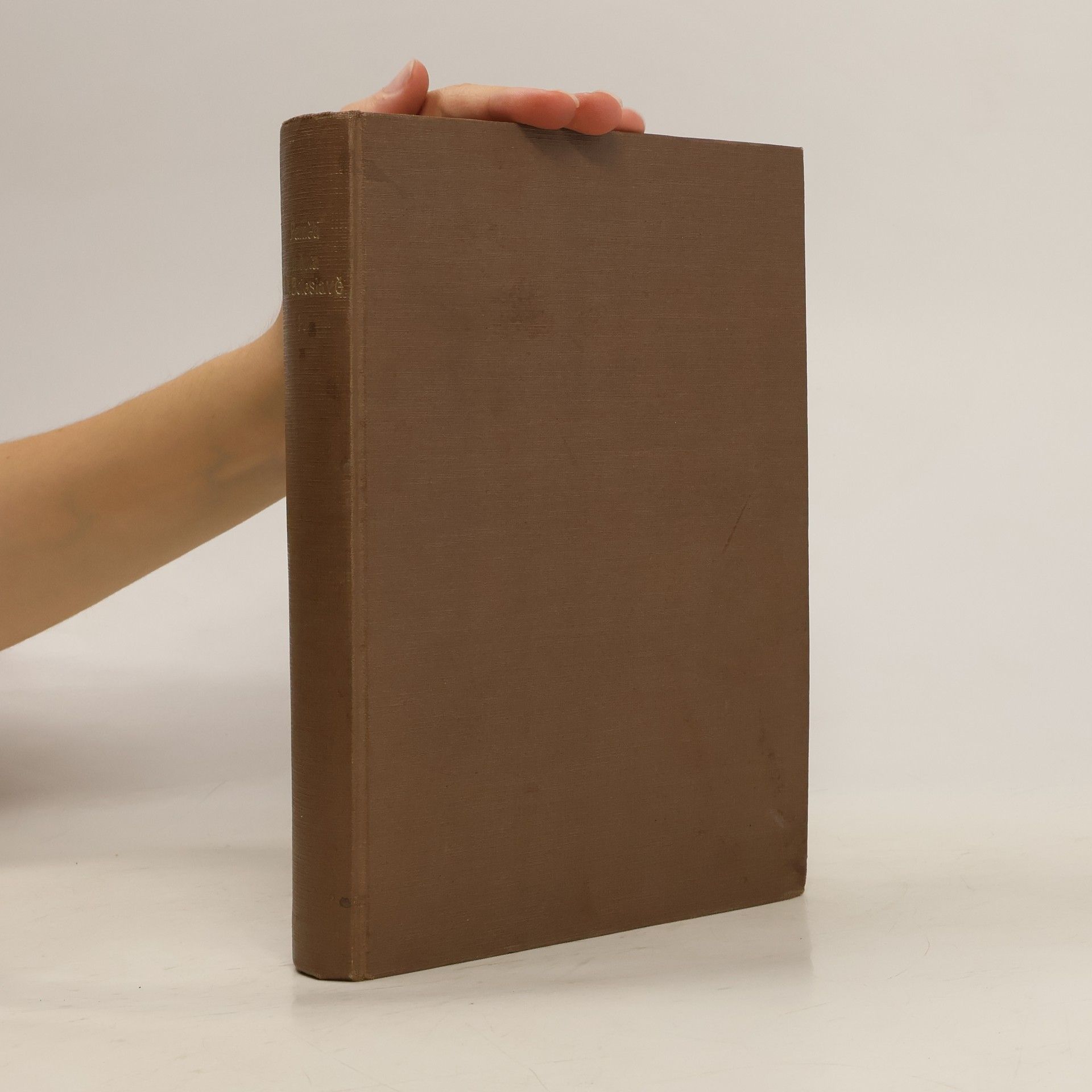 Paměti města Ml. Boleslavě. Díl 1