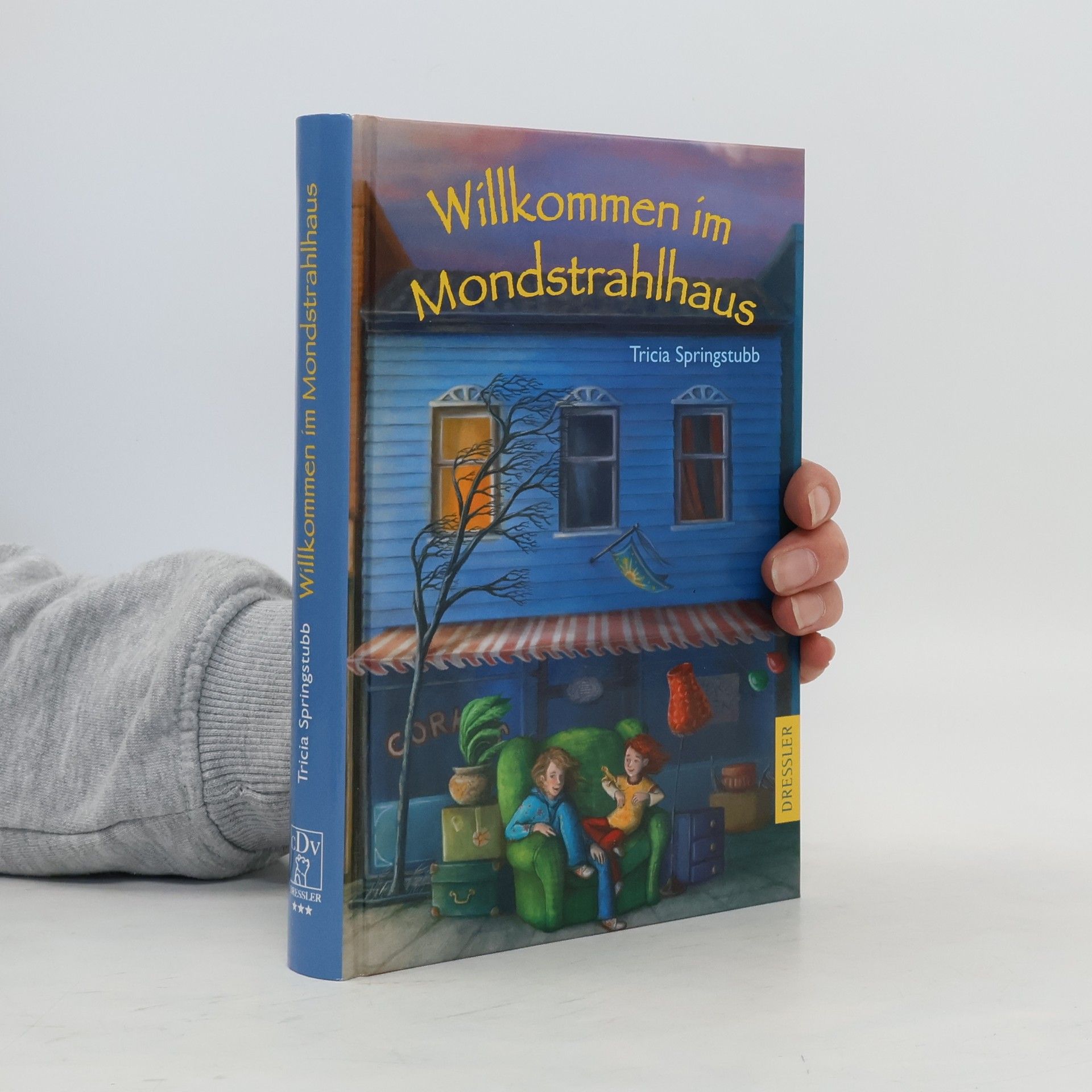 Tricia Springstubb Willkommen im Mondstrahlhaus