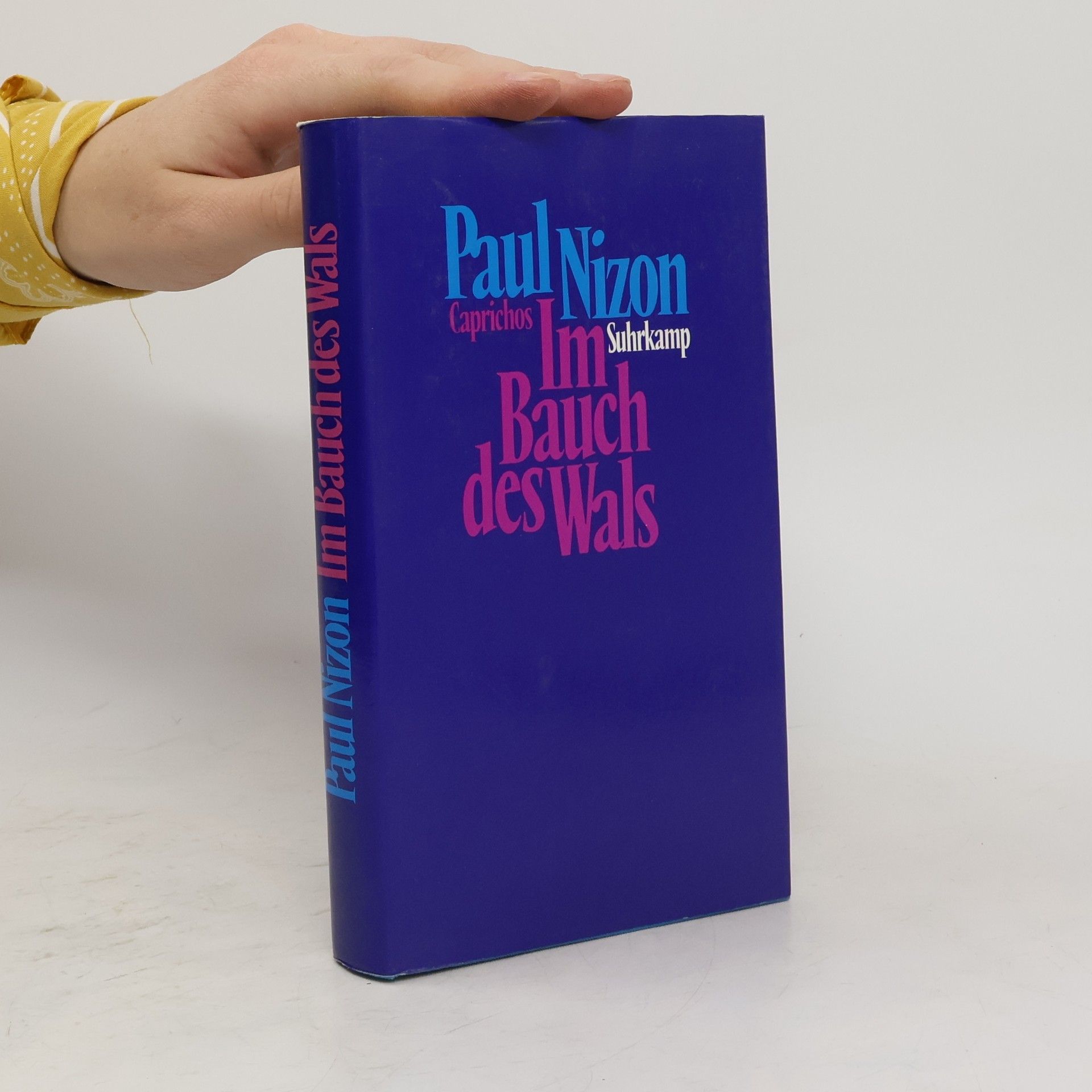 Paul Nizon Im Bauch des Wals