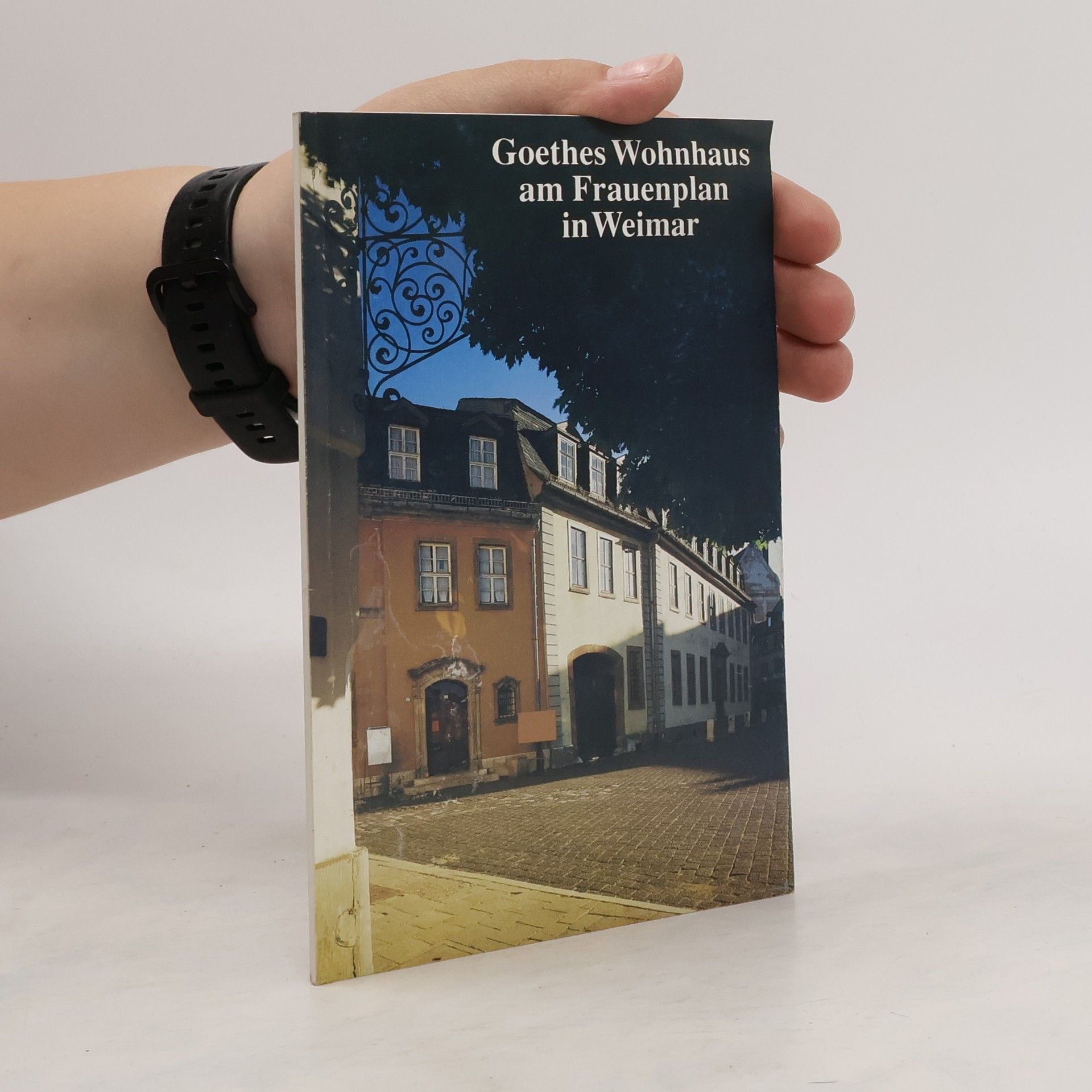 Willi Ehrlich Goethes Wohnhaus am Frauenplan in Weimar