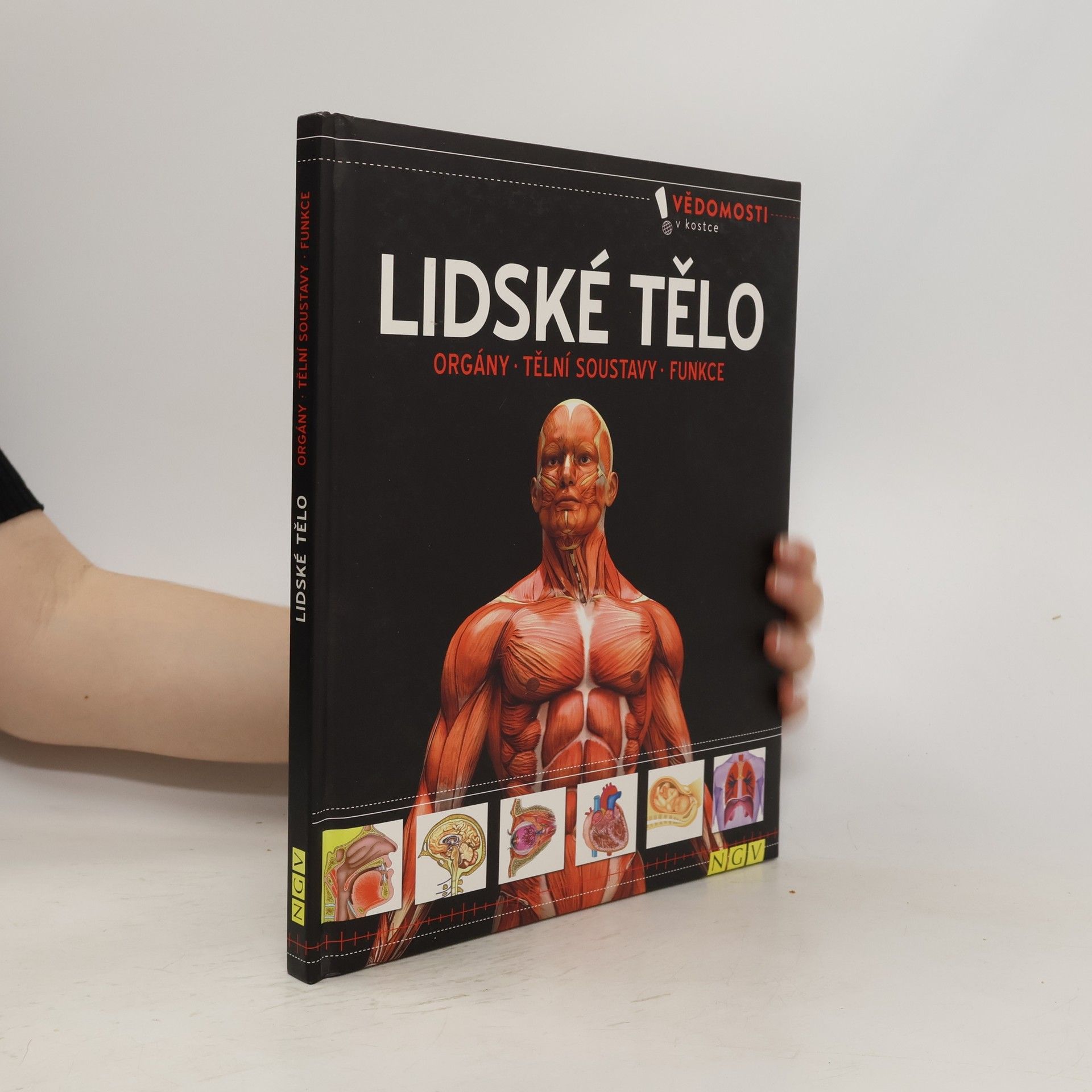 Collectif d'auteurs Lidské tělo