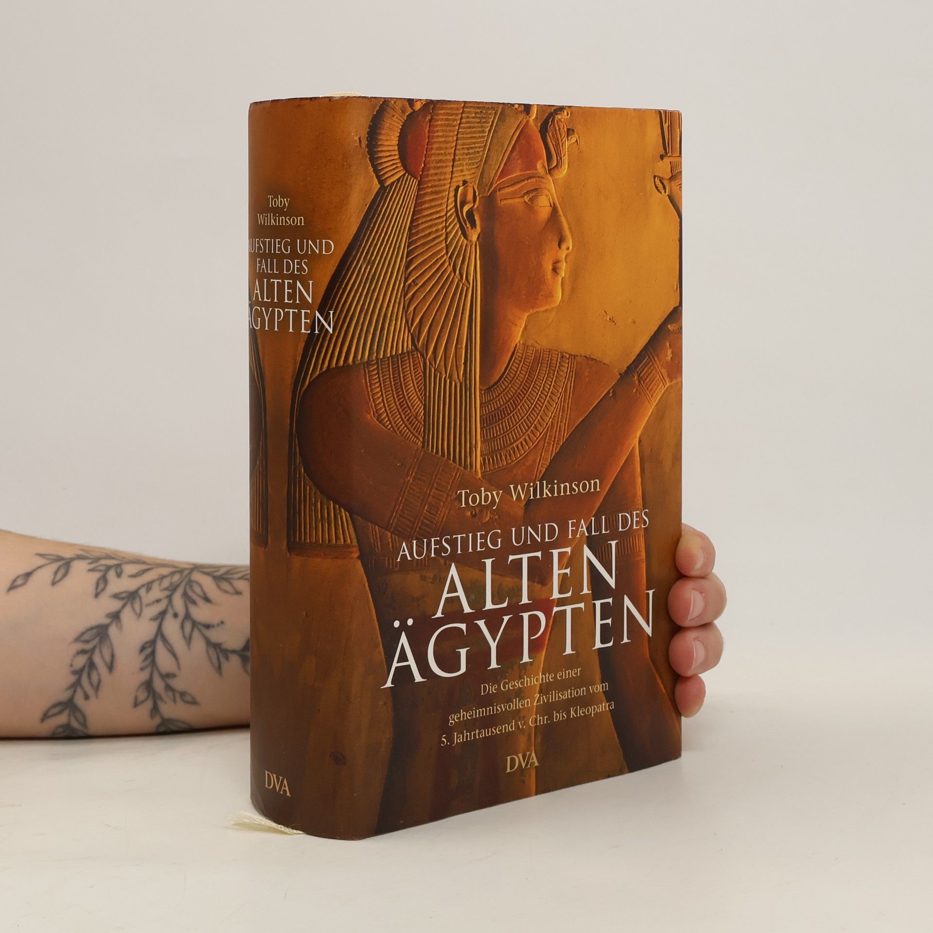 Toby A. H. Wilkinson Aufstieg und Fall des alten Ägypten