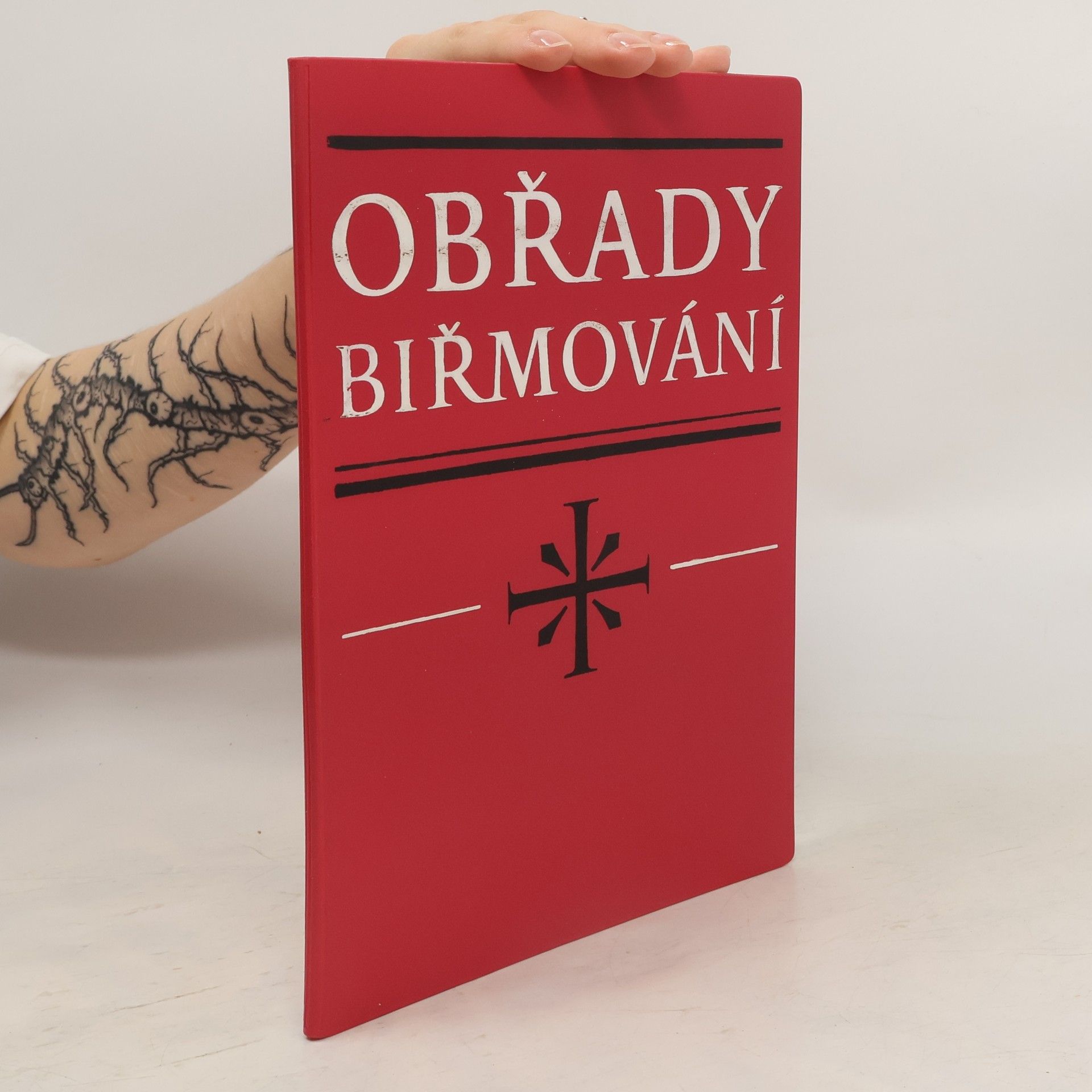 Kolektív autorov Obřady biřmování