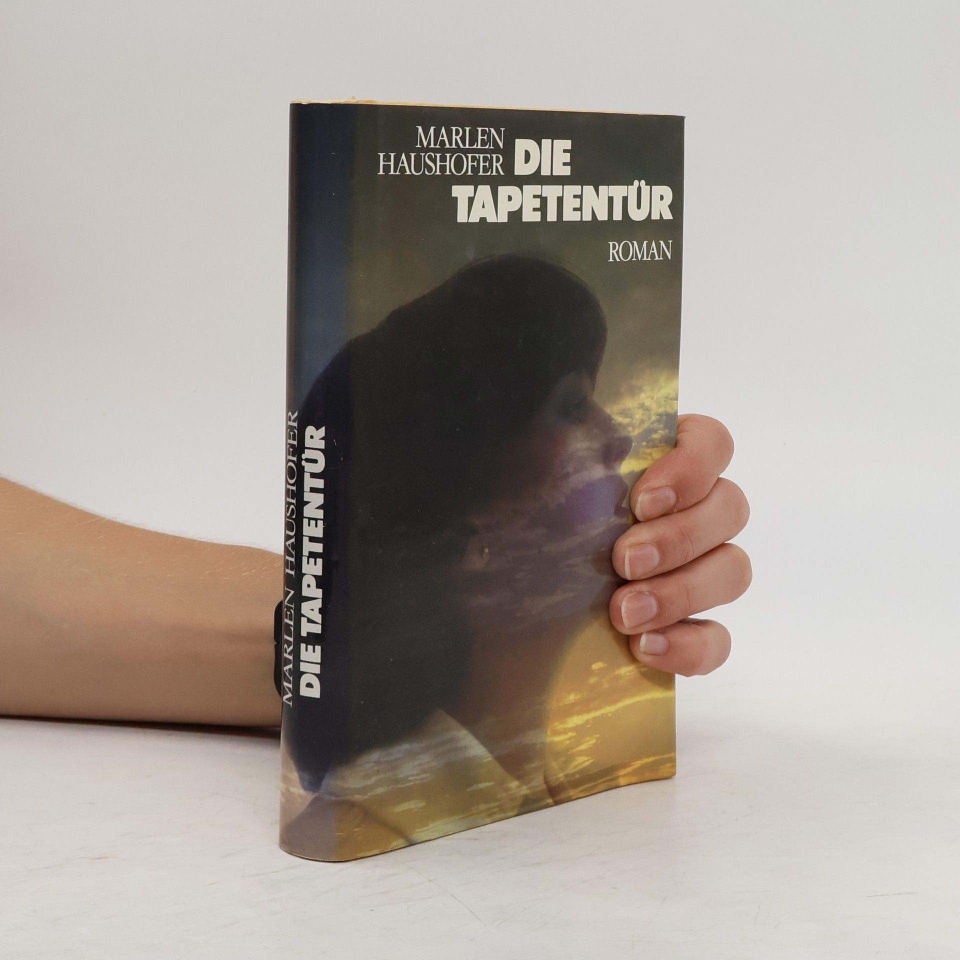 Marlen Haushofer Die Tapetentür