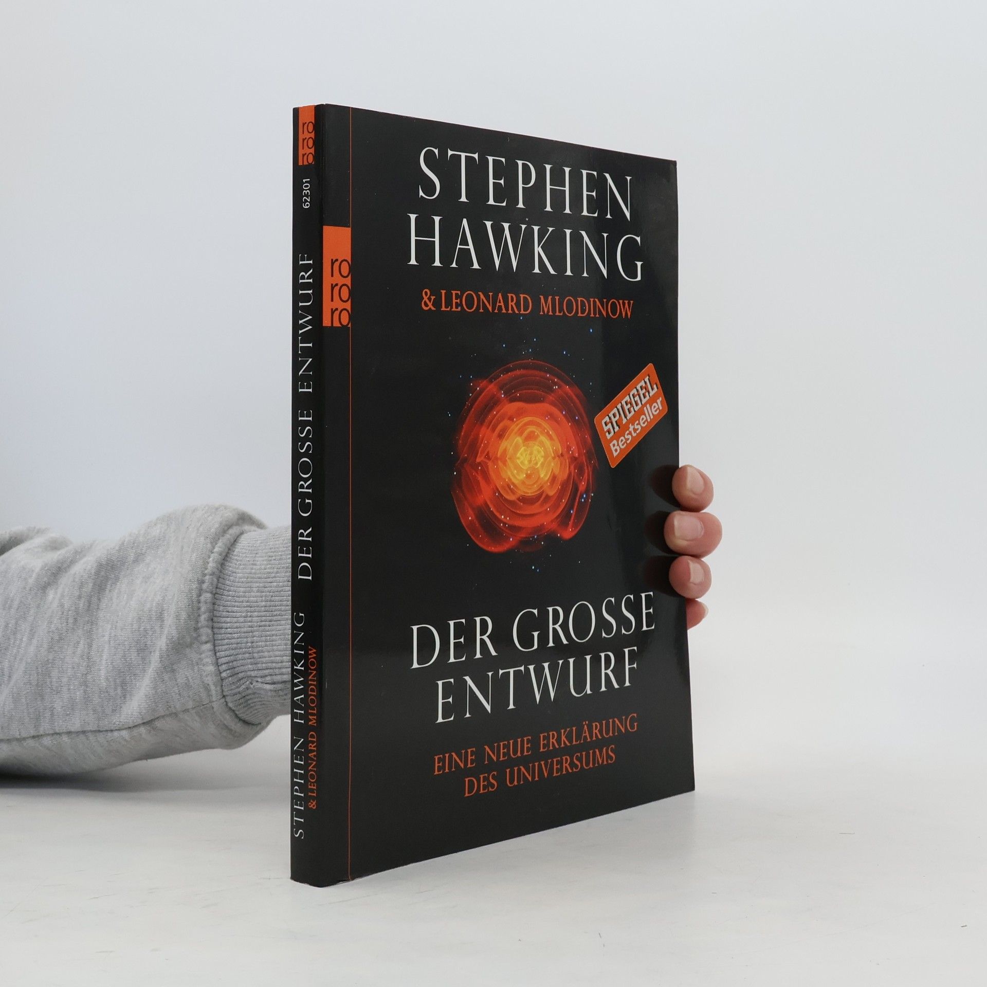 Stephen Hawking Der grosse Entwurf