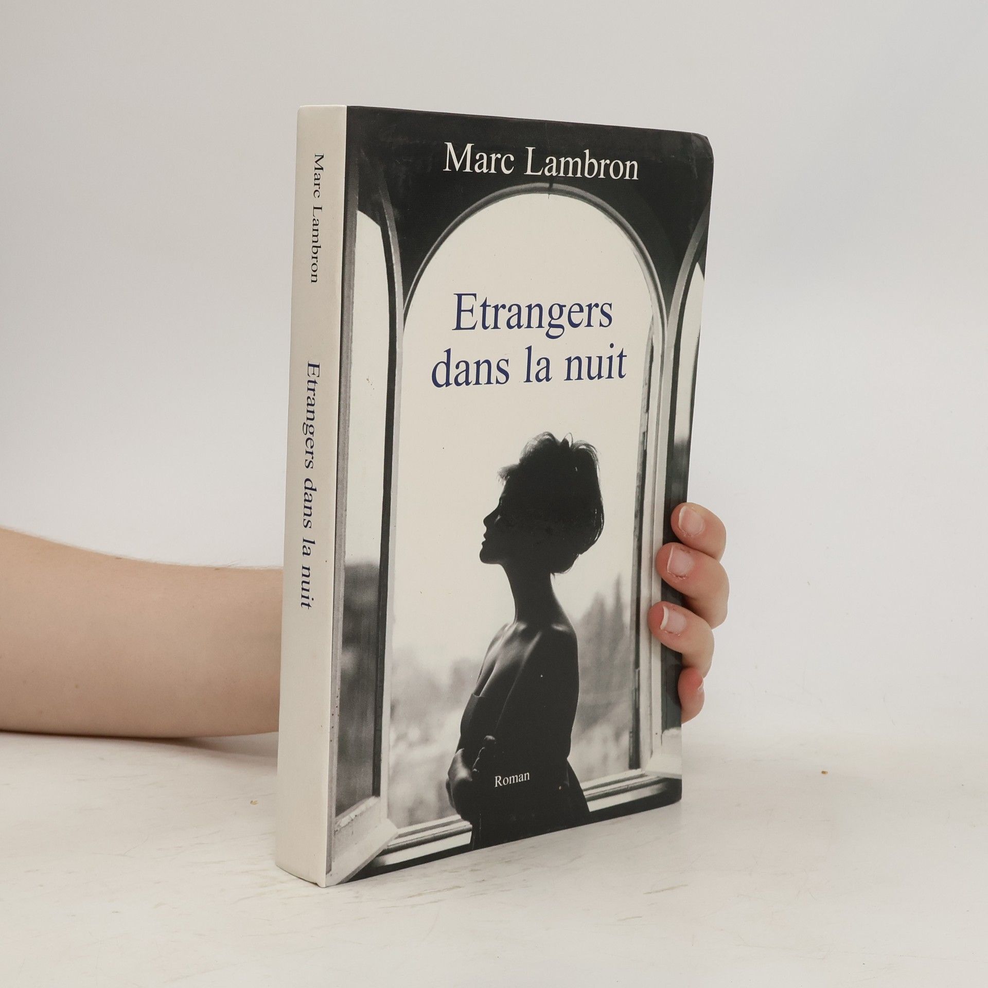 Marc Lambron Étrangers dans la nuit