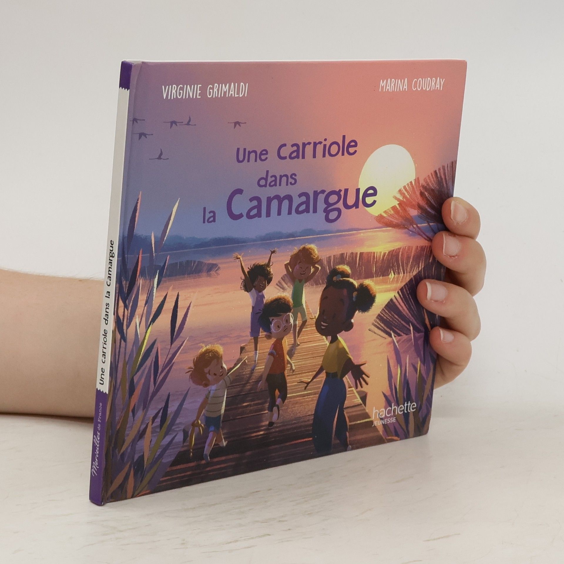 Virginie Grimaldi Une carriole dans la Camargue