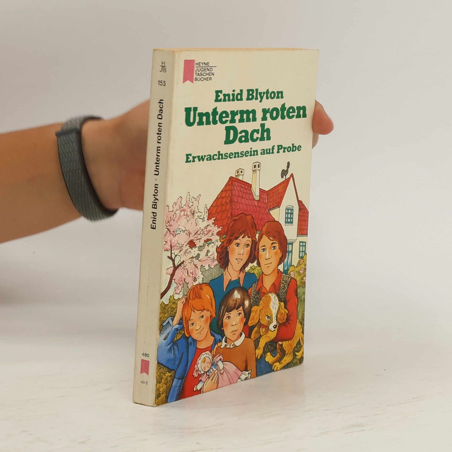 Enid Blyton Unterm roten Dach