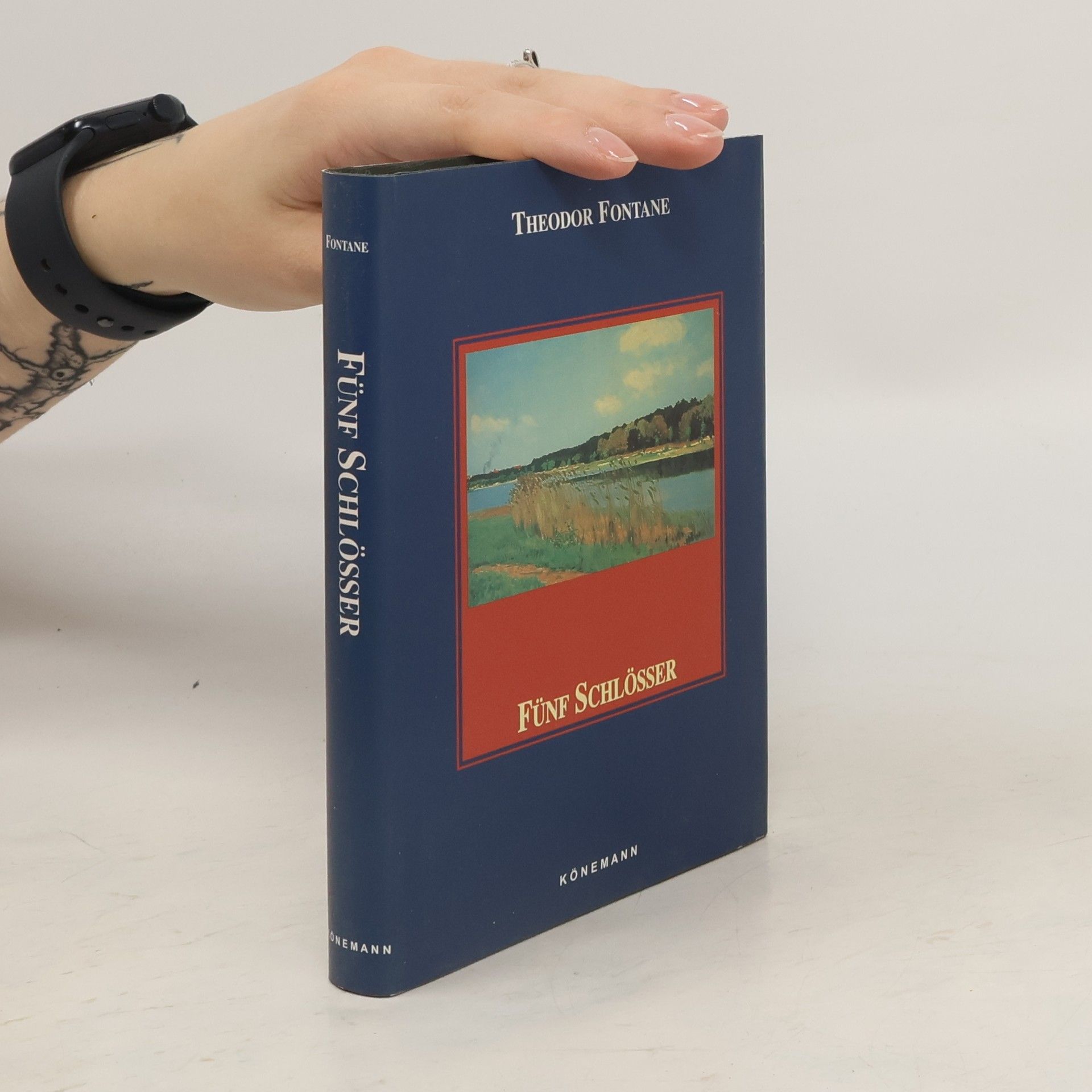 Theodor Fontane Wanderungen durch die Mark Brandenburg 5. Fünf Schlösser. Altes und Neues aus Mark Brandenburg