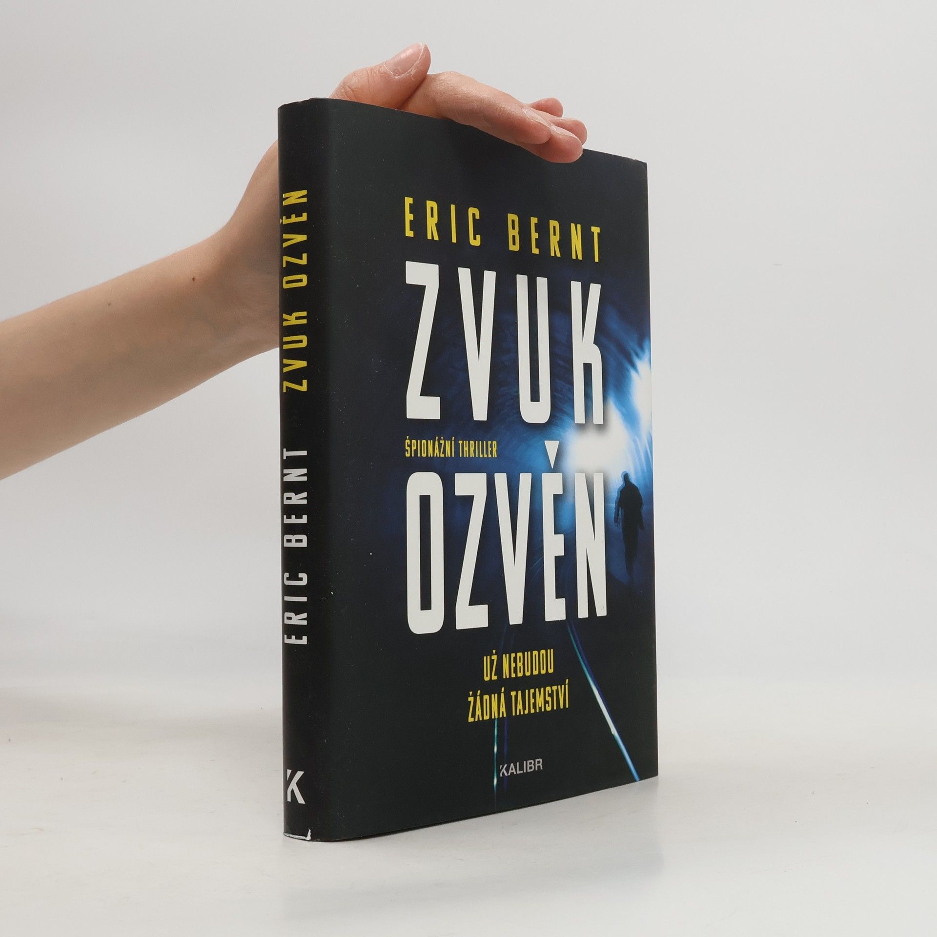Eric Bernt Zvuk ozvěn