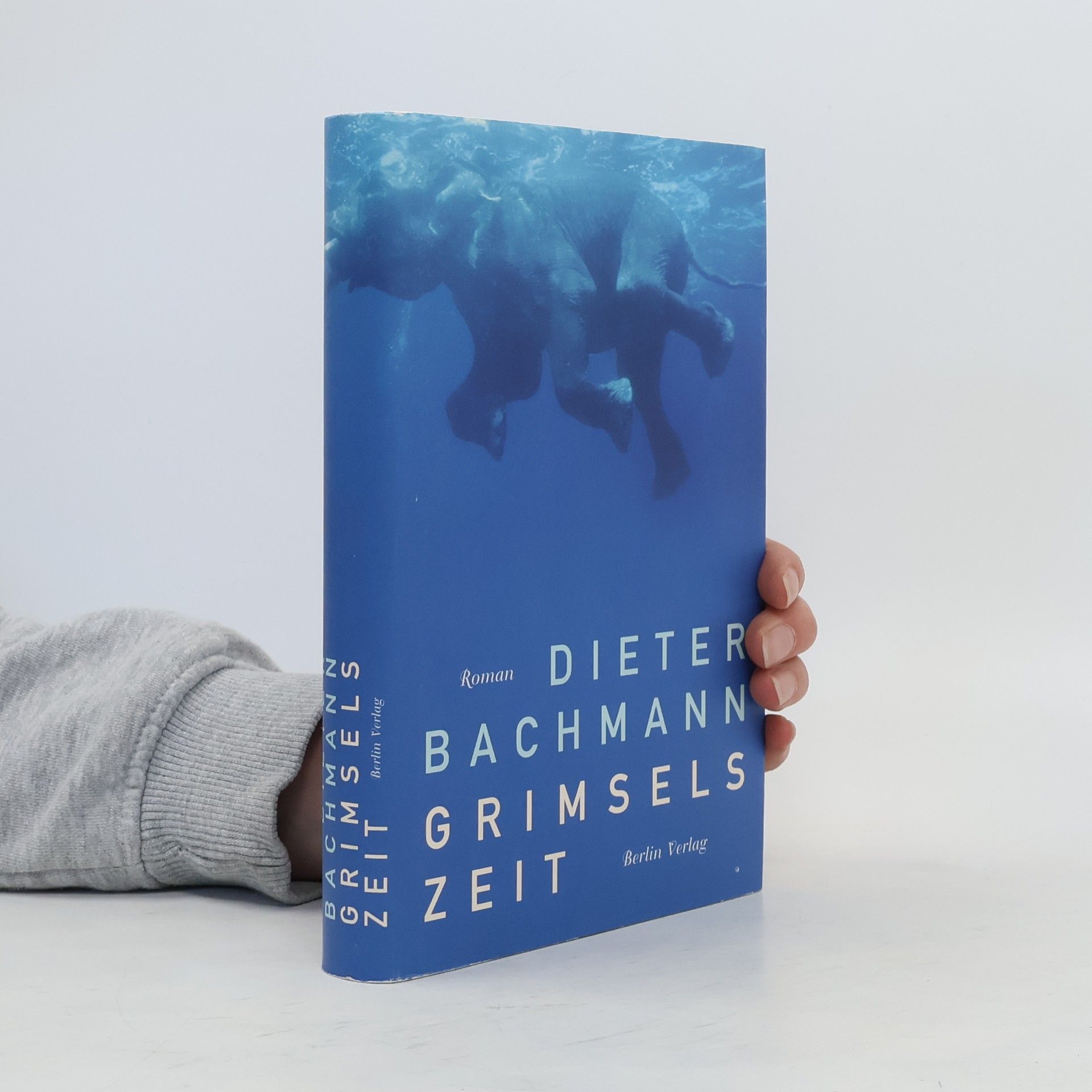 Dieter Bachmann Grimsels Zeit