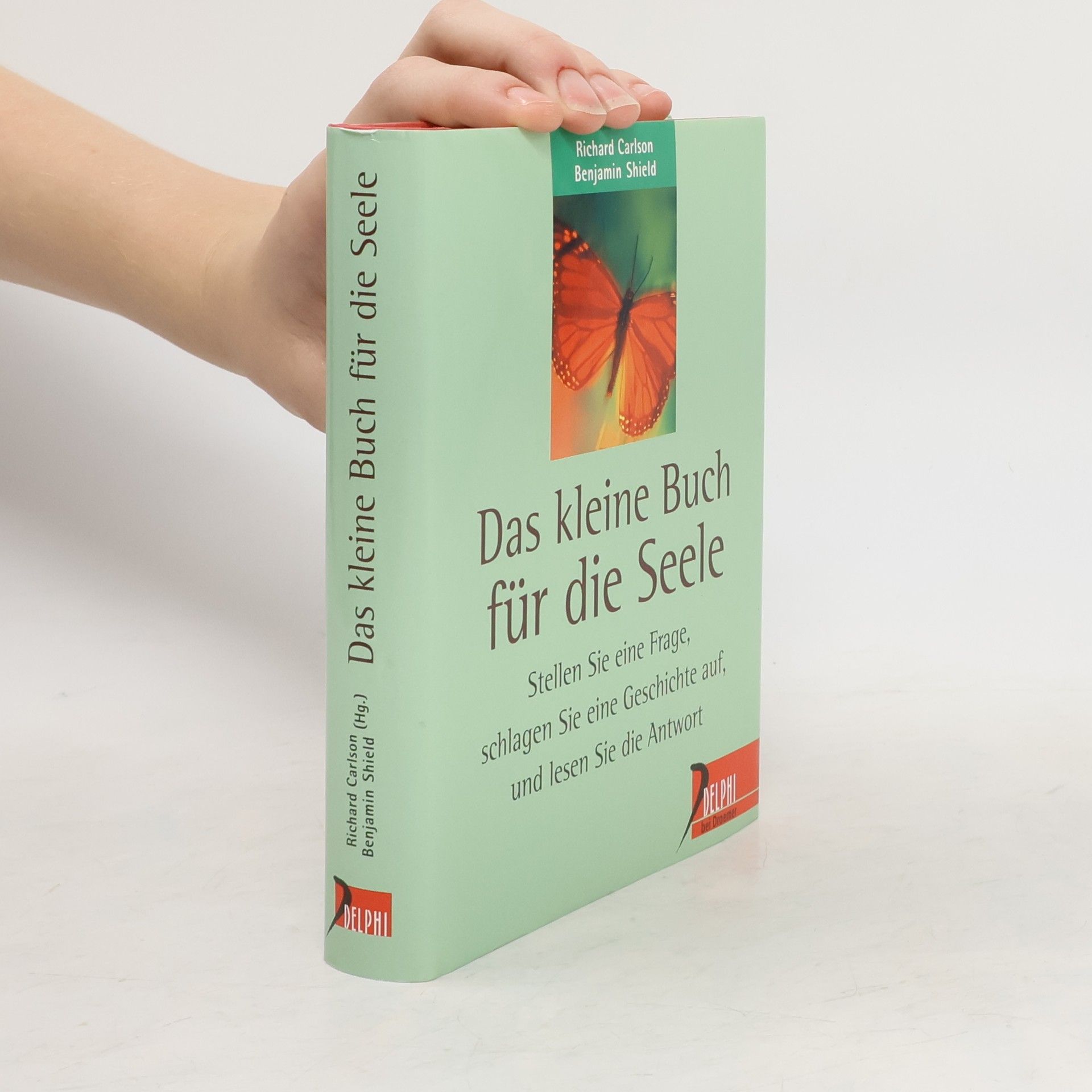 Richard Carlson Das kleine Buch für die Seele
