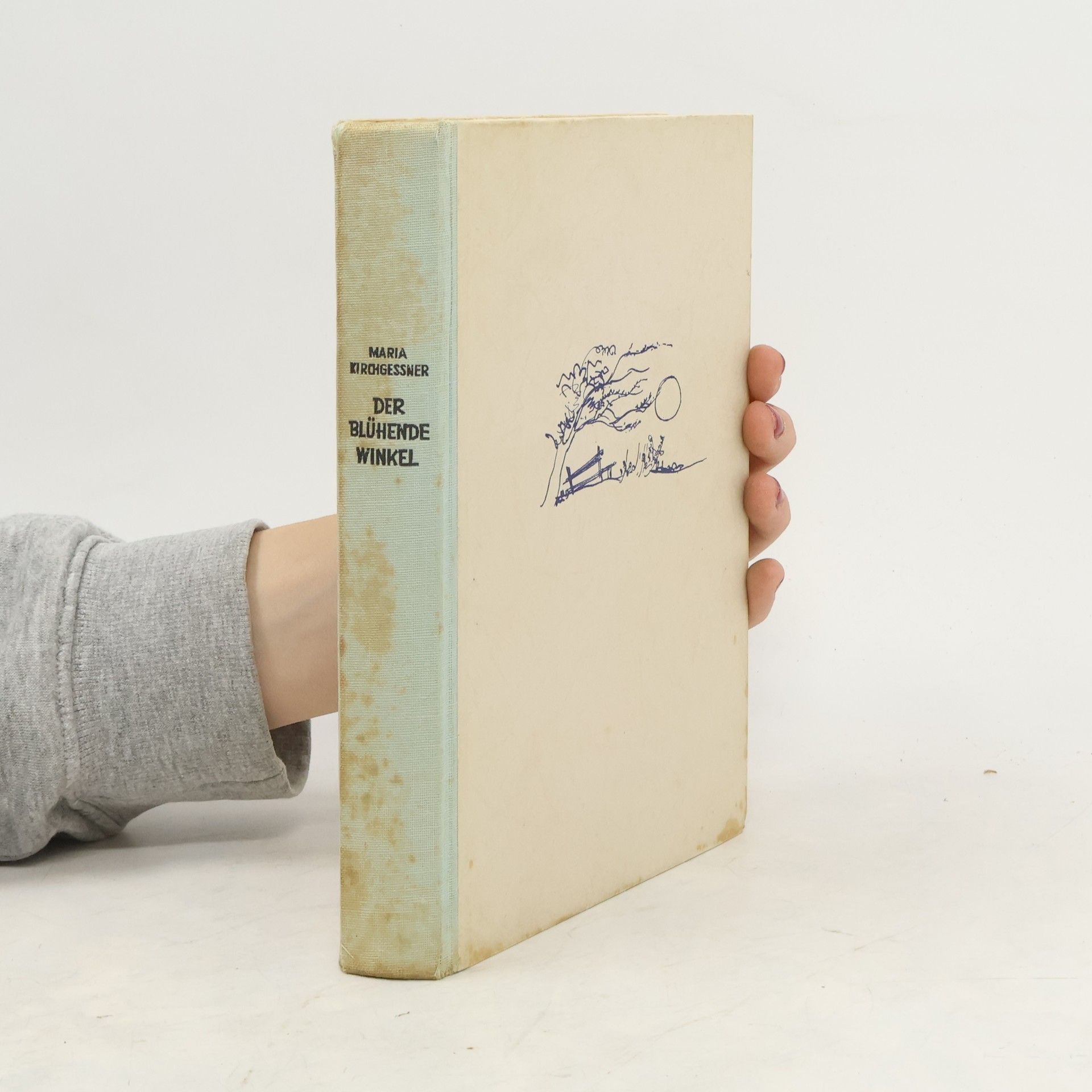 Maria Kirchgessner Der blühende Winkel