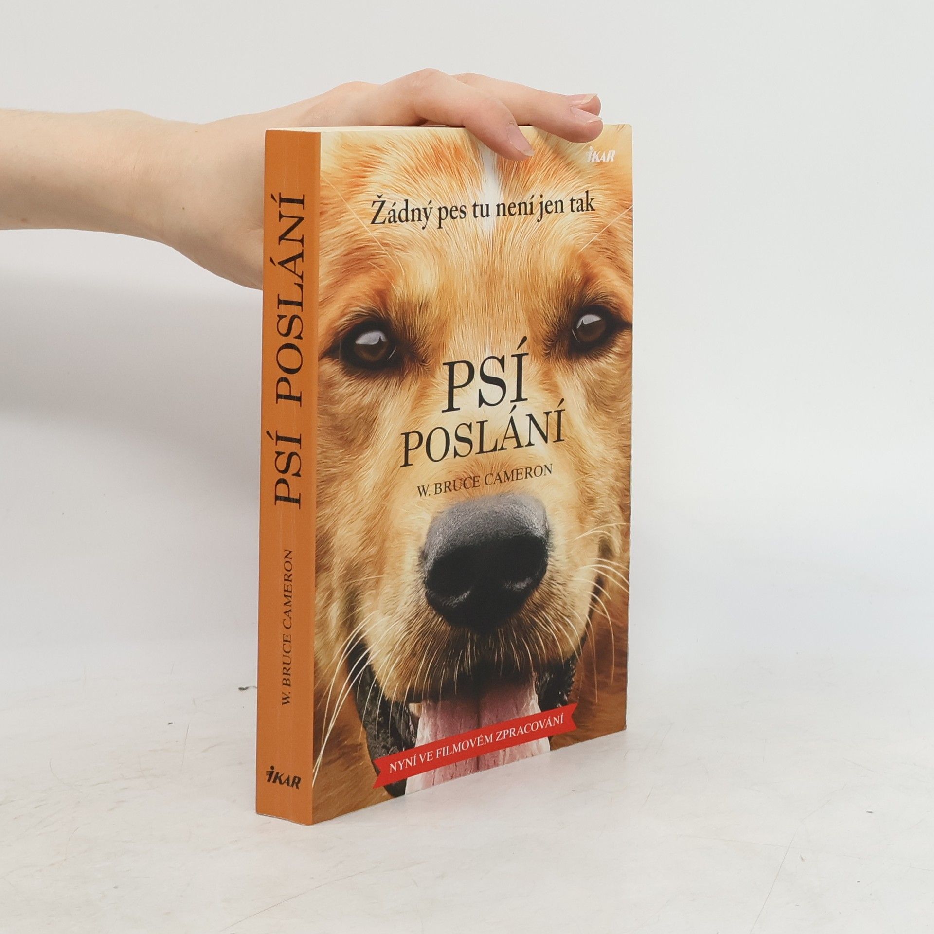 W. Bruce Cameron Psí poslání. Žádný pes tu není jen tak