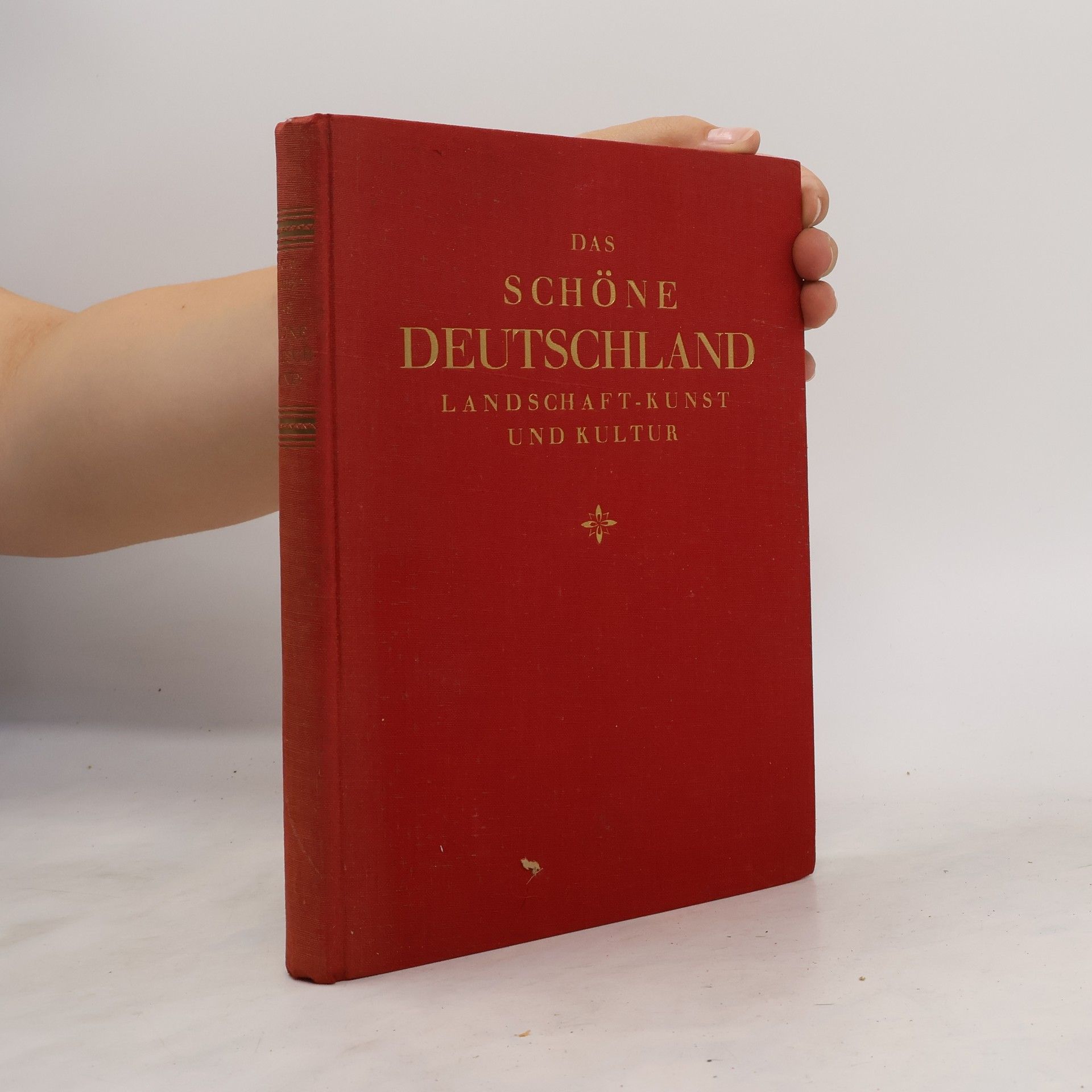 Carl Walter Schmidt Das schöne Deutschland. Landschaft, Kunst und Kultur