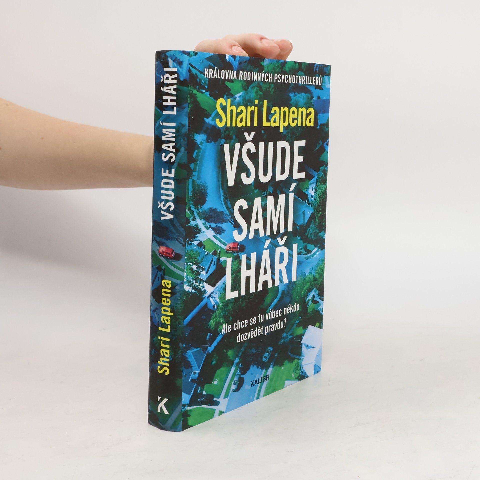 Shari Lapena Všude samí lháři