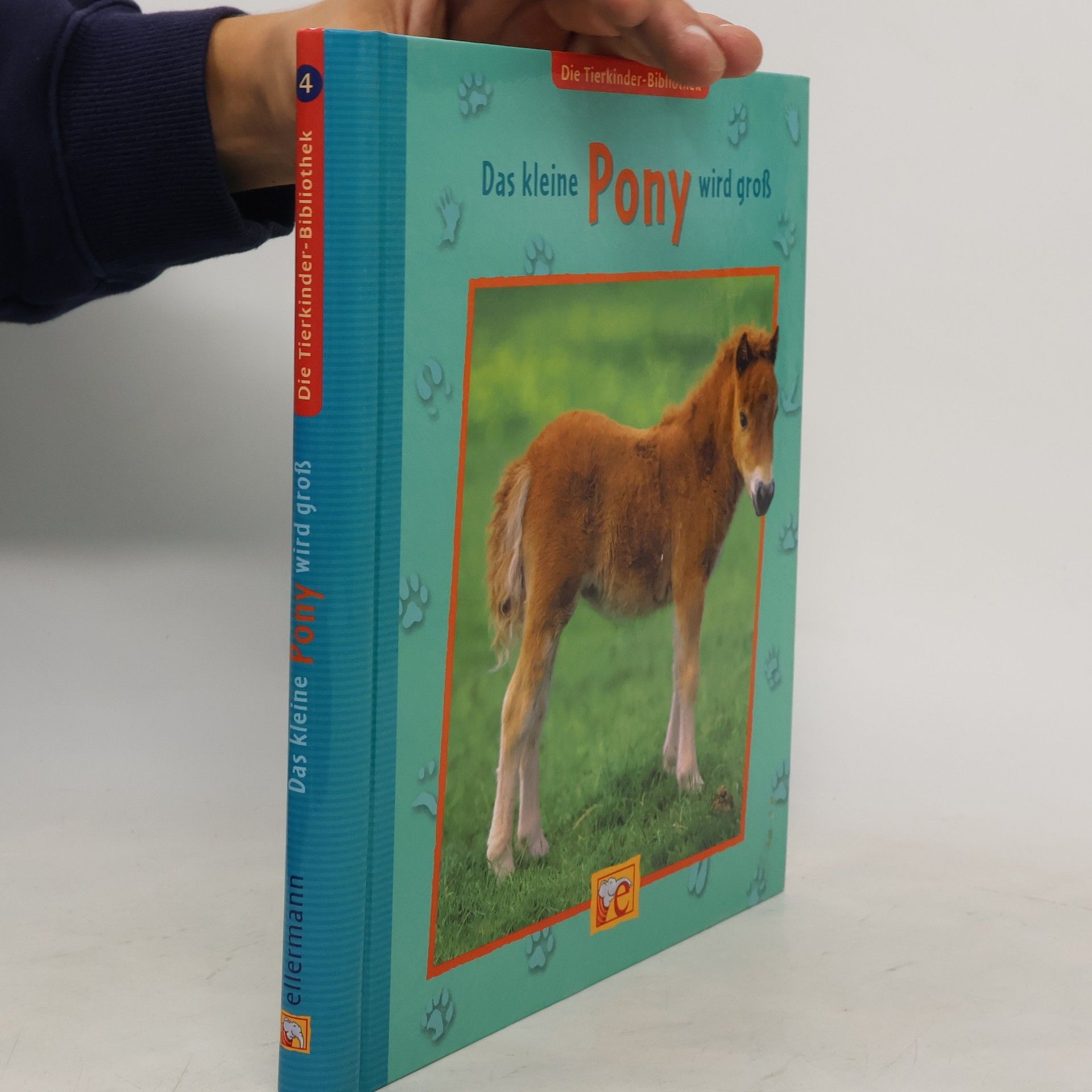 Sandra Grimm Das kleine Pony wird groß