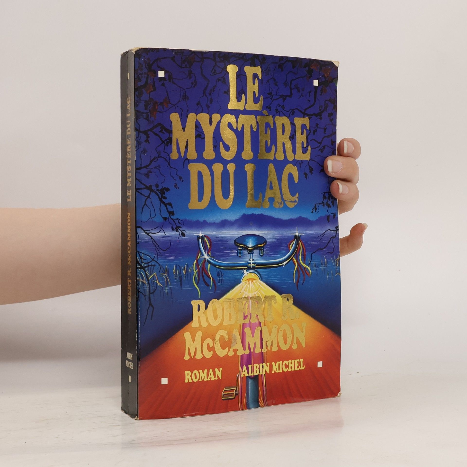 Robert R. McCammon Le mystère du lac