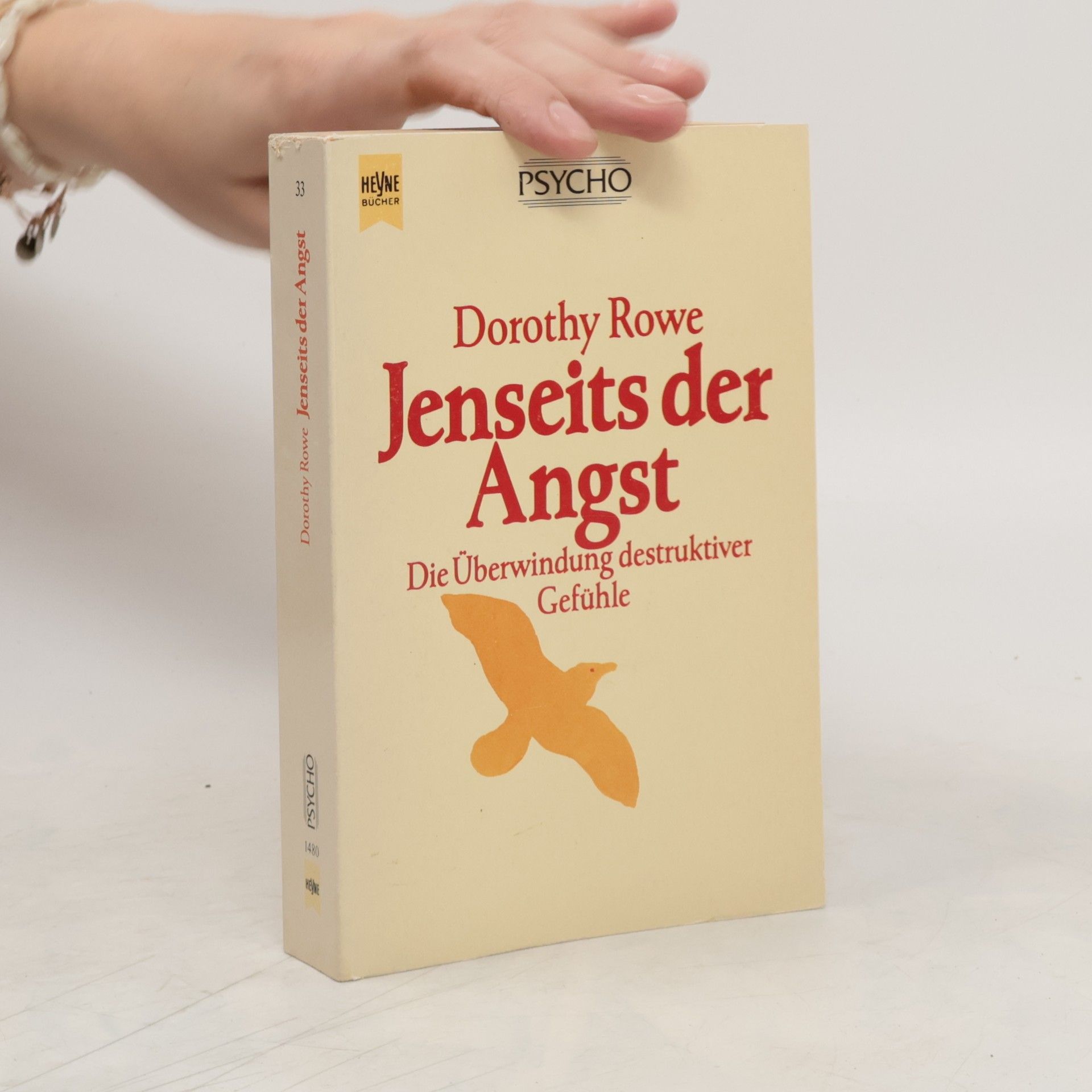 Dorothy Rowe Jenseits der Angst