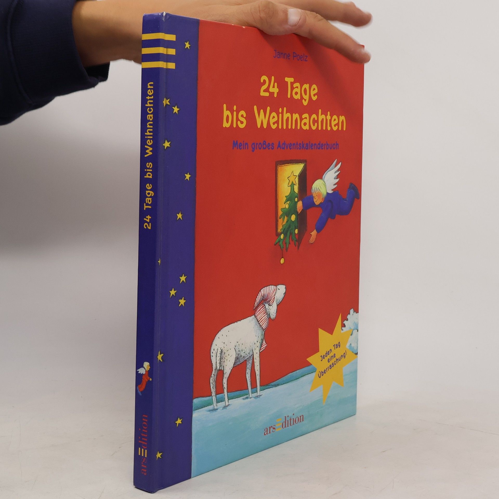 Janne Poelz 24 Tage bis Weihnachten